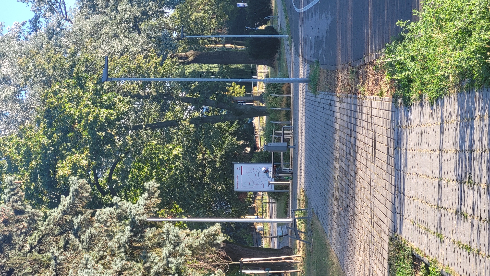 The image depicts an outdoor scene in a park or public area, likely in Prešov, Slovakia, given the Polish text on the informational board. A paved walkway, constructed with rectangular pavers, runs diagonally from the bottom left towards the center of the frame. To the left of the walkway, there is lush green grass and a tall pine tree with blue-green needles, casting shadows. Further to the left, there's a metallic bench. In the middle ground, a person wearing a light-colored shirt and a white cap is seated at a picnic table, appearing to look at a smartphone. Adjacent to the table is an informational board with a map and text in Polish. Two lampposts are visible in the scene; one closer to the foreground and another further back. The background is filled with a dense canopy of green trees under a bright blue sky. To the right of the walkway, a paved asphalt road, possibly a bike path or road, is visible with white markings. The scene suggests a sunny day with moderate shade provided by the trees.