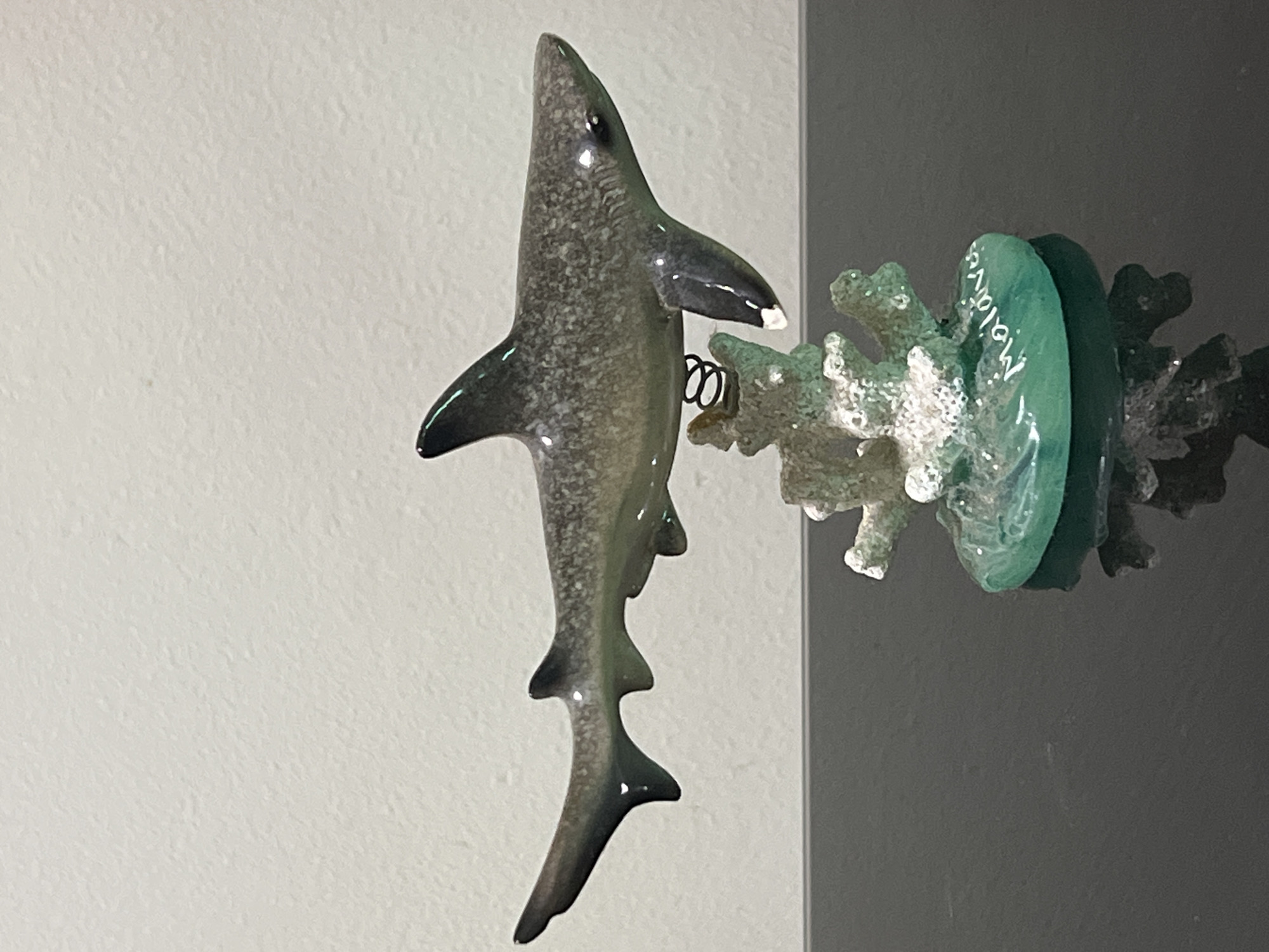 This media file features a close-up of a decorative item resembling a shark attached to a coral-like structure. The shark is depicted in a gray, speckled finish with darker fins and tail. A small, coiled spring connects the shark to the coral. The coral itself is light green and appears textured, possibly made of glass or resin, with white accents. A translucent green disc, likely a bead or charm, is embedded within the coral structure. Faint white lettering is visible on this green disc, and the text appears to spell out "Maldives." The background consists of a textured off-white wall on the left and a dark gray, reflective surface on the right, suggesting an indoor display. The lighting is bright, casting subtle shadows and highlighting the glossy surfaces of the shark and coral. The overall impression is of a souvenir or decorative piece related to marine life and the Maldives.