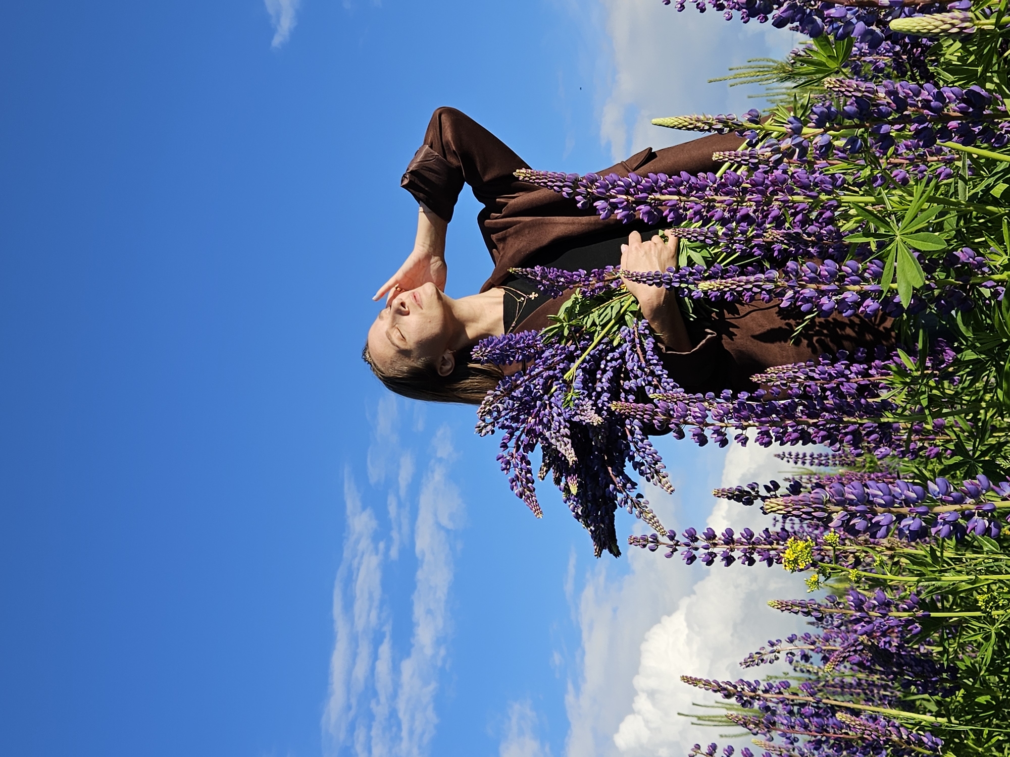 A young woman is depicted from a low-angle perspective, posing outdoors amidst a dense field of purple lupine flowers. She has brown hair and is dressed in a dark brown jacket over a black top, with a delicate necklace visible. Her face is turned upwards towards the bright blue sky, eyes closed or nearly closed, and her right hand is gently raised to shield her face, suggesting she is enjoying the sun. She holds a large, abundant bouquet of deep purple lupine flowers in her left arm and hand.
The surrounding area is richly filled with more purple lupine flowers, with their distinctive spires and green foliage extending into the background and foreground, forming a lush, vibrant setting. A few small yellow flowers are also visible among the purple blooms. The sky above is a clear, bright blue, accented by scattered white, fluffy clouds, indicating a sunny daytime. The overall impression is one of serenity and enjoyment of nature. The context provided specifies the location as Chaikovsky, Russia. There is no visible text in the image.