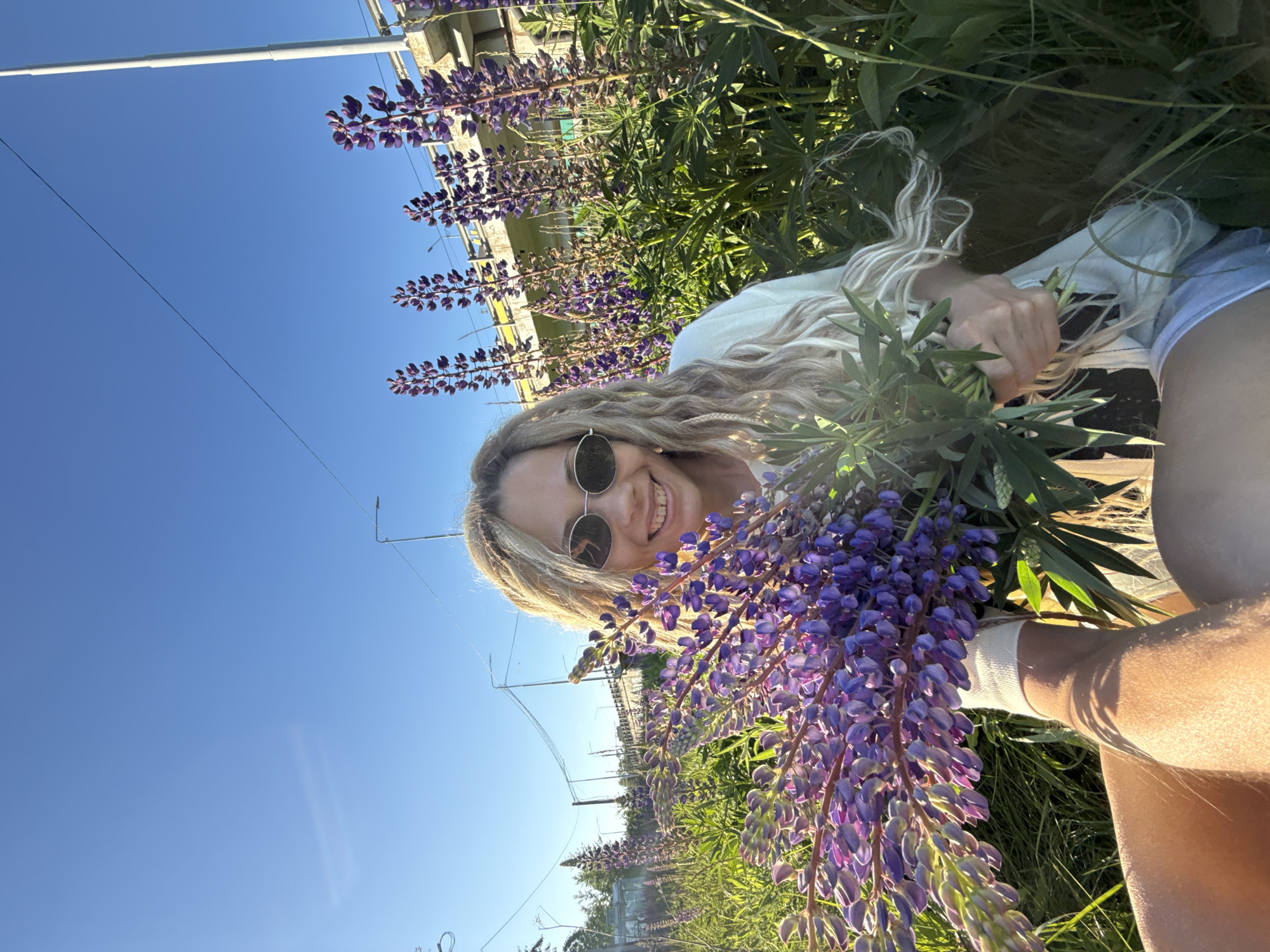 A smiling Caucasian woman with long, blonde dreadlocks and round sunglasses is centrally positioned, crouching in a field of purple lupine flowers. She wears a white long-sleeved top and light-colored shorts, and holds a dense bouquet of freshly cut purple lupines, extending them towards the camera. Strong sunlight from the left illuminates her face and the flowers. In the background, a concrete bridge or overpass with yellow railings and white pillars is visible, along with multiple utility poles, overhead power lines, and streetlights under a clear blue sky. The ground consists of green grass and numerous upright lupine plants. The scene is located in the city of Заволжье, Russia.
