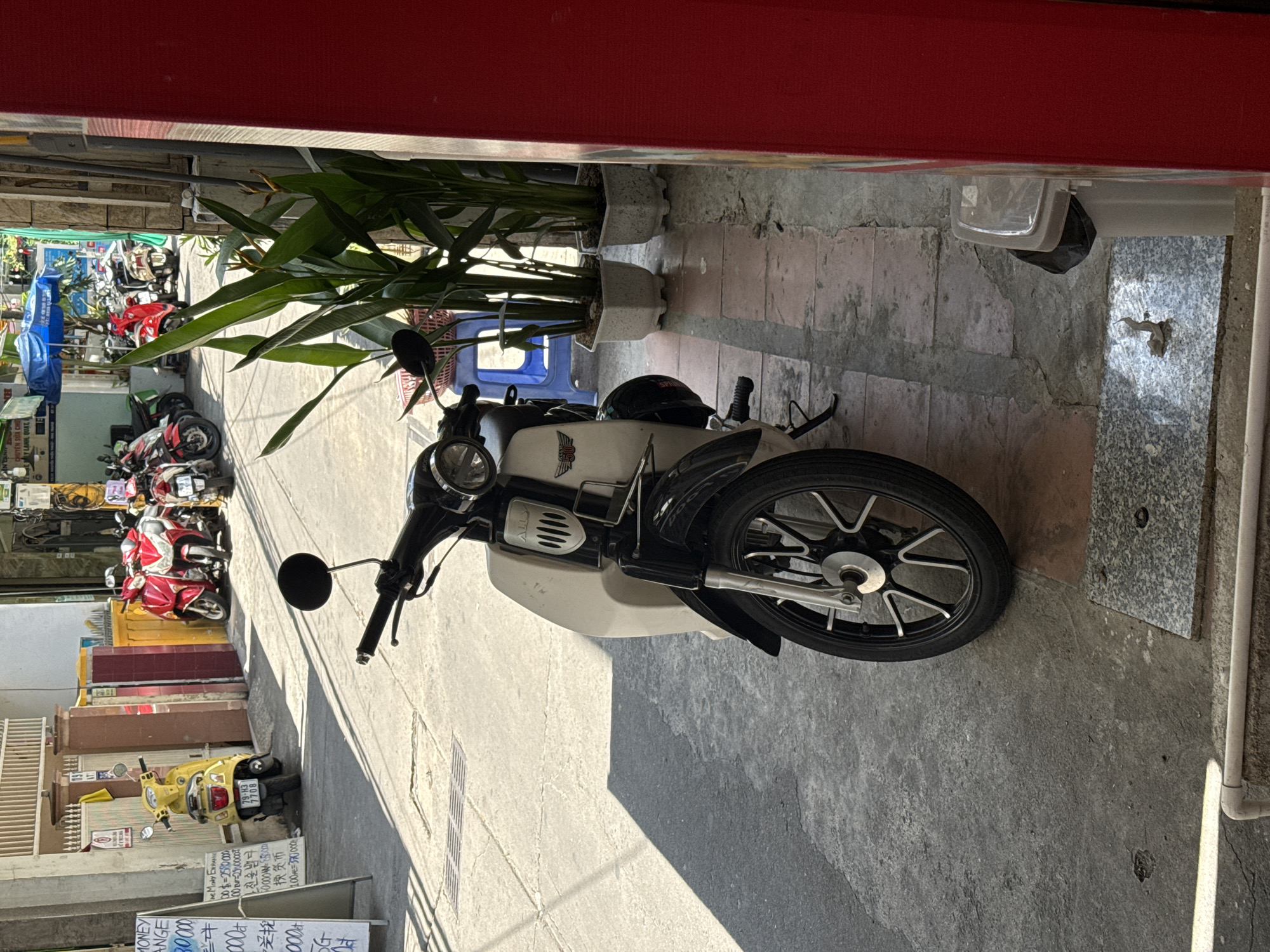 A street scene in Nha Trang, Vietnam features a white and black scooter parked on a sidewalk. The scooter has a black seat, chrome accents, and a silver emblem on the front. In the background, several red and white motorbikes are parked on the street. To the left of the scooter is a yellow motorbike. A white sign with Vietnamese text and currency symbols is visible next to the yellow motorbike. Two potted plants with large green leaves are placed behind the white scooter. A blue plastic stool is situated near the plants. In the far background, a blue awning stretches over a street with more buildings and parked vehicles. The ground is paved with concrete and there are shadows cast by the sunlight. A white trash can with a grey lid is visible on the right side of the image. The image appears to have been taken during the daytime.