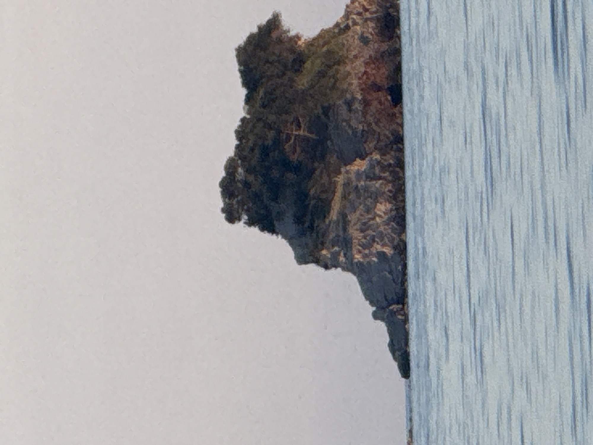 A rocky island with dense green vegetation covering its upper portion is situated in the calm, blue waters of the Adriatic Sea, likely near Budva, Montenegro. The island has a rugged, uneven terrain with visible rock formations and a small cave-like opening on its right side. The water exhibits gentle ripples, reflecting the soft, pale sky. The scene is devoid of any human presence.