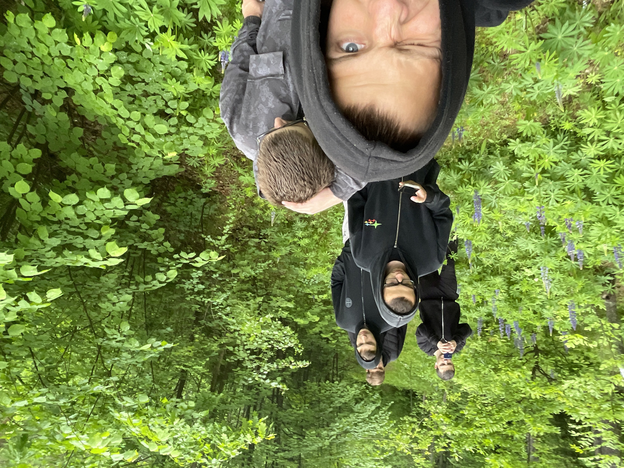 A group of five individuals is captured in a casual group photo or selfie amidst a vibrant green outdoor setting, likely a forest or wooded area in Красные Баки, Russia.
In the foreground, a person wearing a black hooded sweatshirt faces the camera directly, displaying wide blue eyes and a playful wink or squint. Immediately to their right, another individual is partially visible, wearing a grey camouflage-patterned jacket and glasses, with short brown hair. Further back and to the right, a third person in a black hooded sweatshirt with glasses looks towards the camera; a circular compass logo, characteristic of the Stone Island brand, is visible on their left sleeve. Behind them, two more individuals are seen: one in a black hooded sweatshirt, and the furthest person in a black jacket, holding a phone and also looking towards the camera.
The scene is dominated by lush, dense green foliage, including various bushes and trees, indicating a natural environment. Several stalks of purple flowers, likely lupines, are scattered among the green plants, adding a touch of color to the verdant backdrop. The lighting suggests it is daytime, with diffused light possibly indicating an overcast sky or a shaded area. The fresh appearance of the greenery hints at either high humidity or recent rain. The overall mood is relaxed and informal, suggesting a leisure activity like a walk or hike.
