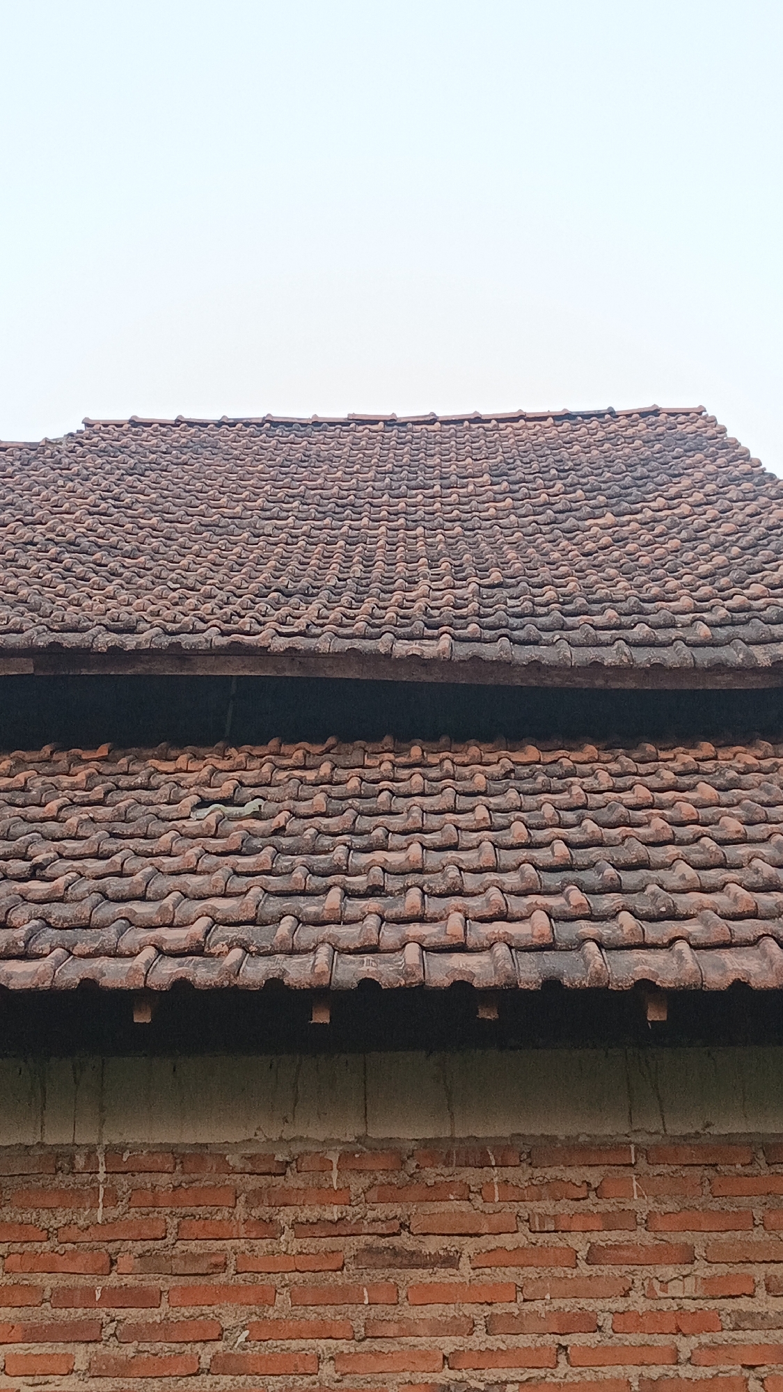 The image shows a close-up view of a two-tiered roof covered in weathered, reddish-brown ceramic tiles. The tiles are arranged in a traditional overlapping pattern. Below the roof, a textured, light-colored wall is visible, and beneath that, a brick wall constructed with visible mortar. The sky above is a pale, overcast blue. There are no people or animals in the image. The scene is domestic and architectural, focusing on the roofing and wall structures of a building.