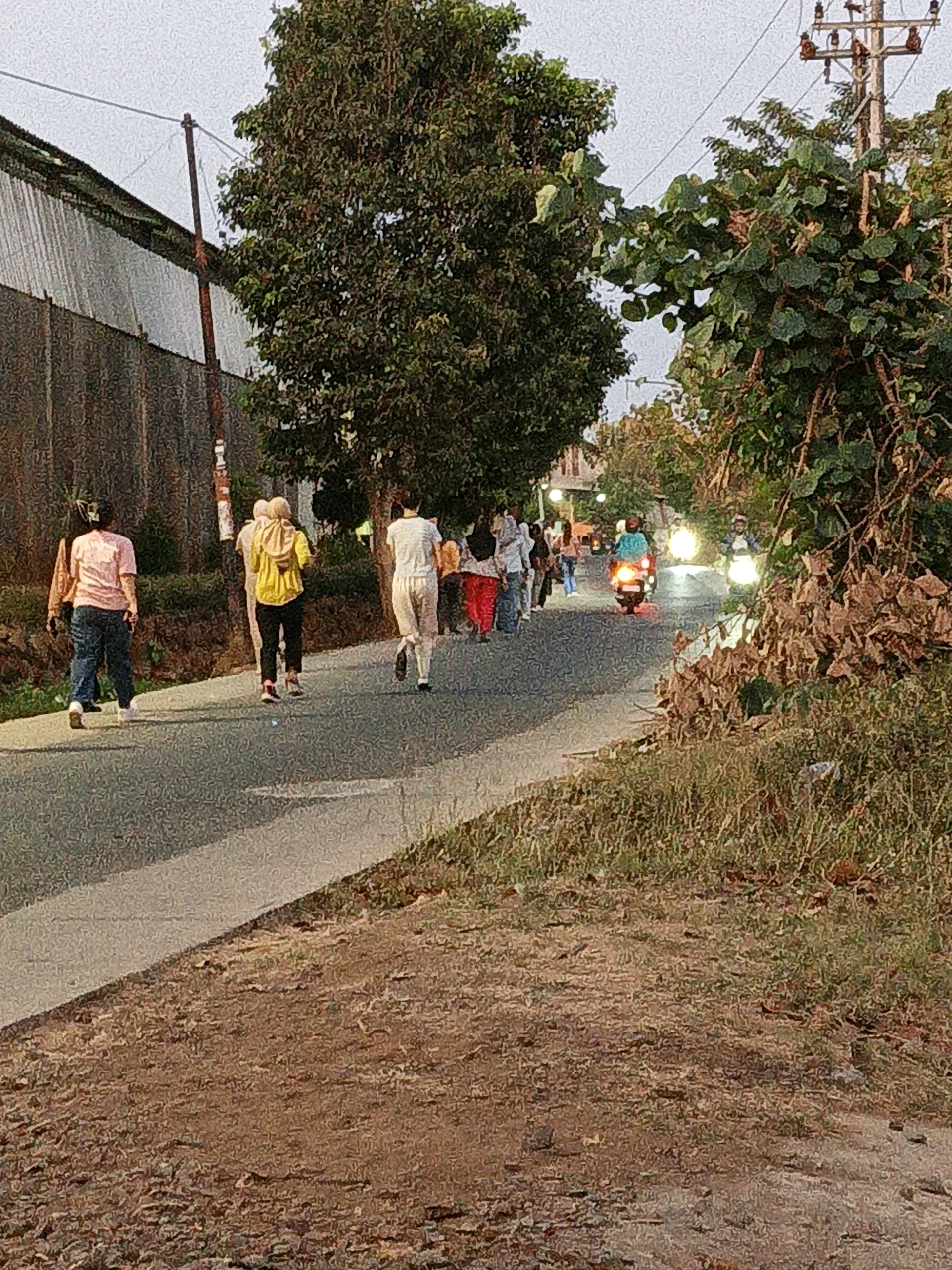In the city of Kuwasen, Indonesia, a group of people are walking on a paved road in the late afternoon. The road curves to the right and is bordered by grassy areas and foliage. Several trees are visible, including a large, dense tree on the left and a tree with larger leaves on the right. A power pole with electrical wires stands to the right of the road.
On the road, a person in a pink shirt and blue jeans is walking away from the camera, followed by another person in a yellow top and black pants. Further up the road, two people are walking away from the camera, one in a white shirt and white pants, and another partially obscured. A larger group of people, some in white and red clothing, are further ahead. Two motorcycles with illuminated headlights are traveling towards the group, one in the foreground and another slightly behind. The environment appears to be a semi-urban or rural setting with natural vegetation and some man-made structures.