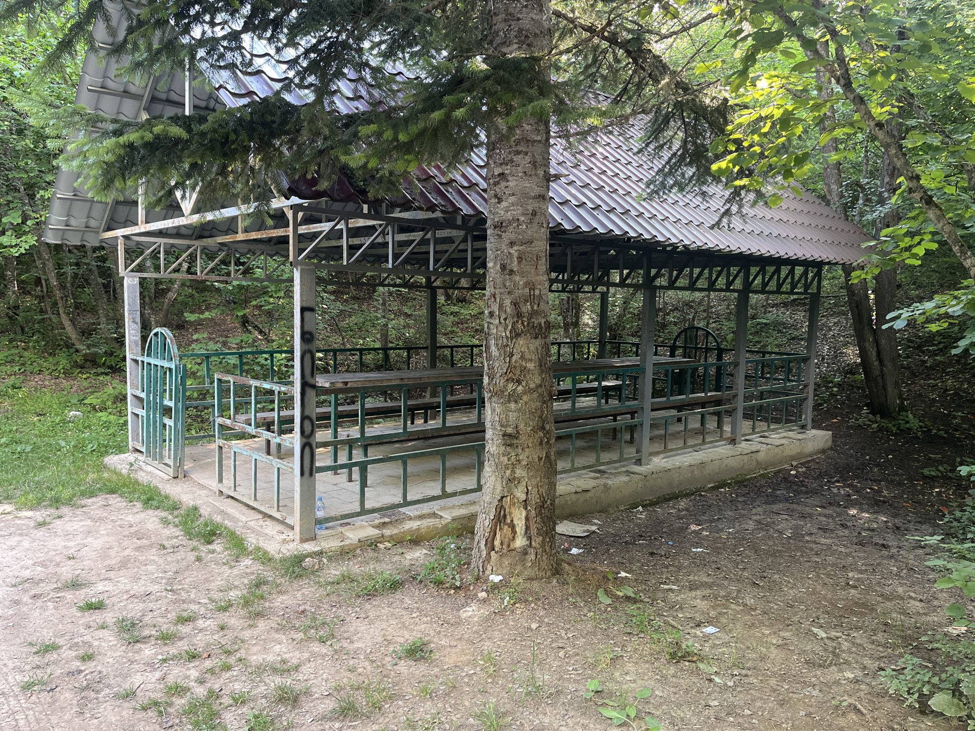 A rustic, open-air pavilion with a corrugated metal roof stands in a forested area, likely in Zeda Shavra, Georgia. The structure, supported by metal beams, contains several wooden picnic tables and benches. A mature tree with rough bark grows directly in front of the pavilion, partially obscuring its view. The ground surrounding the pavilion is a mixture of dirt, scattered leaves, and patches of grass. The environment suggests a natural, possibly secluded, location. The pavilion appears to be well-used, with some graffiti visible on its pillars.