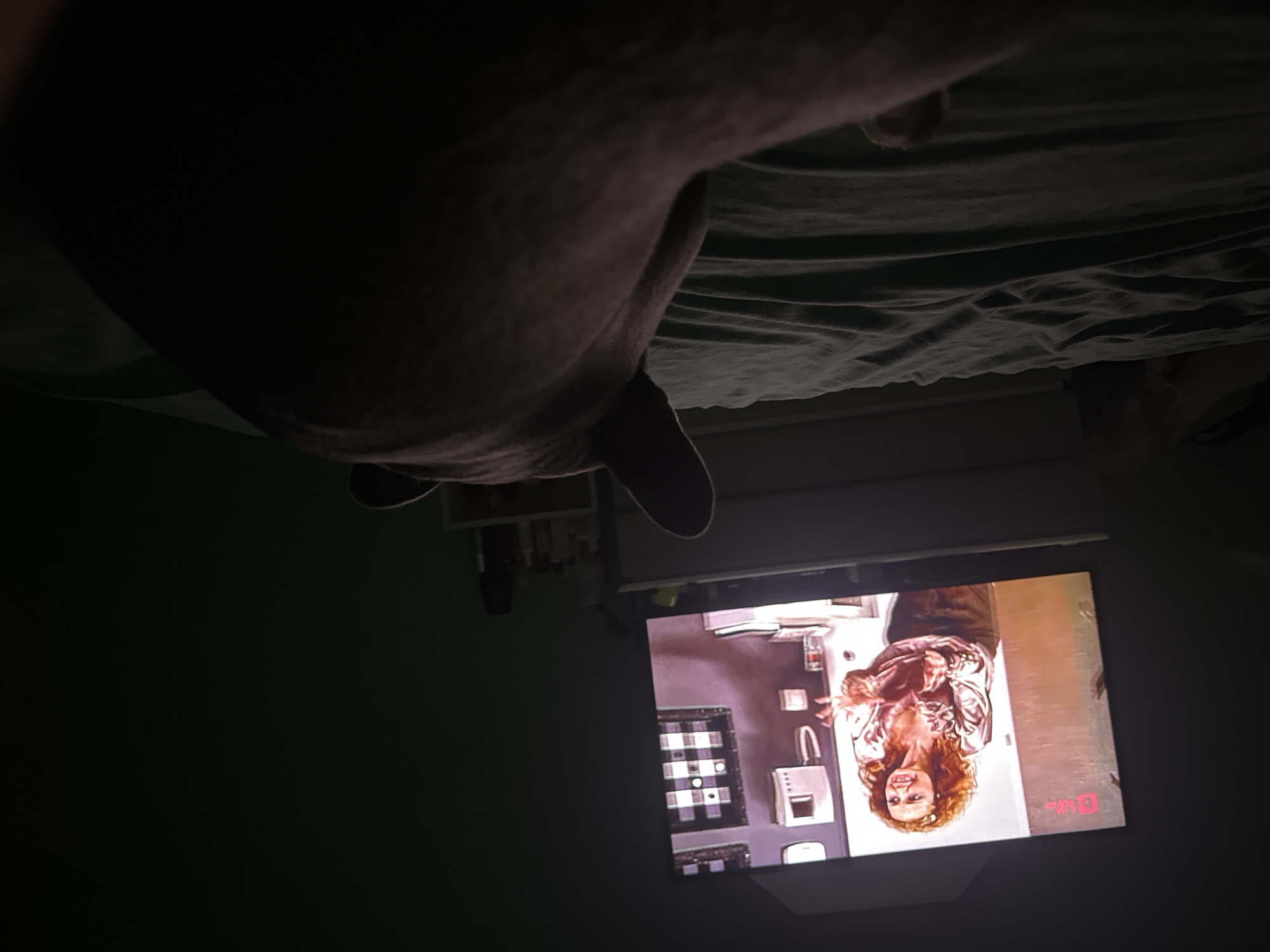 In this dimly lit media file, a person with long, curly red hair is seen on a television screen. They are wearing a shiny, possibly satin, pinkish-gold shirt. The scene on the screen appears to be indoors, with what looks like a kitchen counter and cabinets visible in the background. A white appliance, possibly a coffee maker or small microwave, is also on the counter. A patterned rug or mat is on the floor in front of the counter. The person on screen is smiling and looking towards the viewer, their body is angled towards the right side of the frame.
The television itself is placed on a surface, and a shelf with various items is mounted on the wall above it. The primary subject of the image, however, is a large, dark, furry shape that appears to be the back and hindquarters of an animal, possibly a dog, positioned in the foreground and dominating the left side of the frame. The animal's body curves towards the right, obscuring a significant portion of the image, and it seems to be lying on a dark green, wrinkled surface that could be a bed or couch with a textured blanket. The overall lighting suggests it is nighttime or the room is very dark. No weather or specific location cues are apparent besides the indoor setting of the television and the presence of furniture. No discernible text is visible on the animal or the surrounding environment.