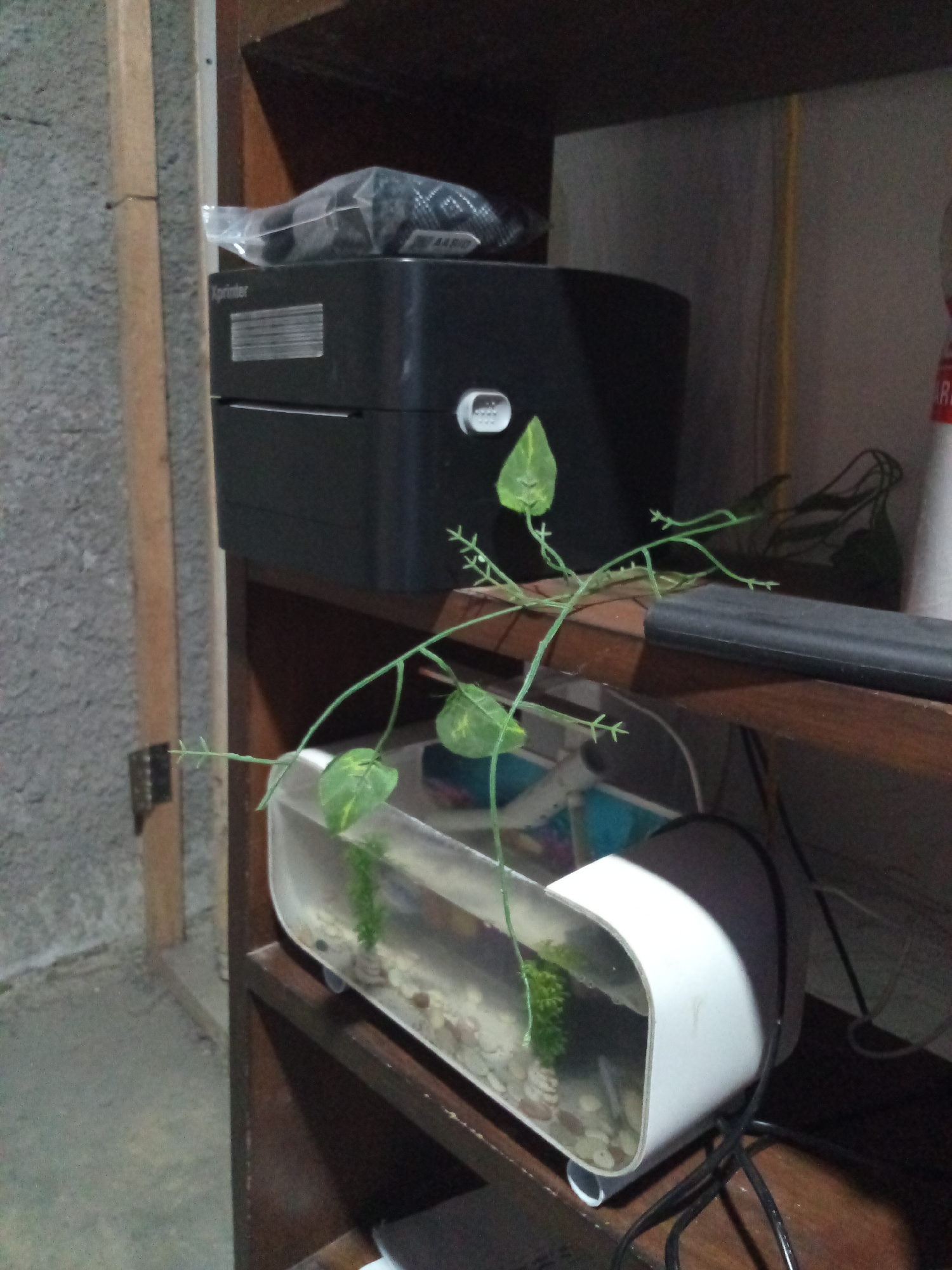A close-up, indoor, eye-level shot focuses on a shelf containing various items. On the top shelf, a black printer is visible, with a clear plastic bag containing dark objects placed on top of it. Below this, a long, clear plastic aquarium with rounded edges is positioned. Inside the aquarium, there are pebbles on the bottom, a small green artificial plant, and water. A thin, green artificial vine with small leaves extends from the aquarium upwards and across the frame, resting on a dark surface. The background consists of a textured, grey concrete wall on the left and wooden shelves on the right. A wooden support beam runs vertically along the left side of the frame. The scene appears to be in Cihanjuang, Indonesia.