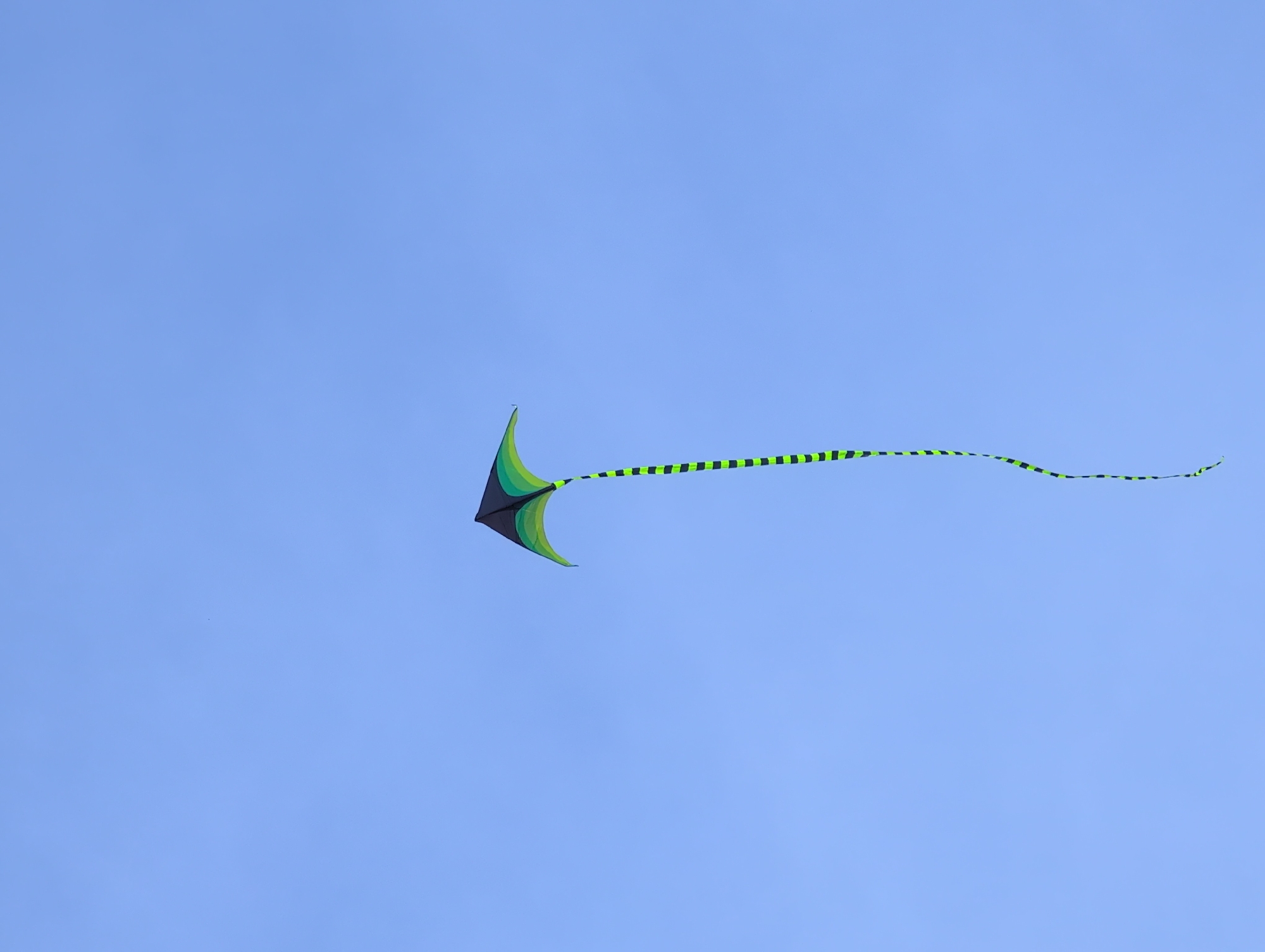 A delta-wing kite with a black and green striped tail is depicted against a clear blue sky. The kite is positioned in the upper center of the frame, angled to the right. The tail extends downwards, curving slightly to the left, and is composed of alternating black and lime green rectangular segments. The image does not provide any information about the location of Veliky Novgorod, Russia, nor does it contain any people, interactions, or specific environmental features that would indicate a city setting. The scene is solely focused on the kite in flight.