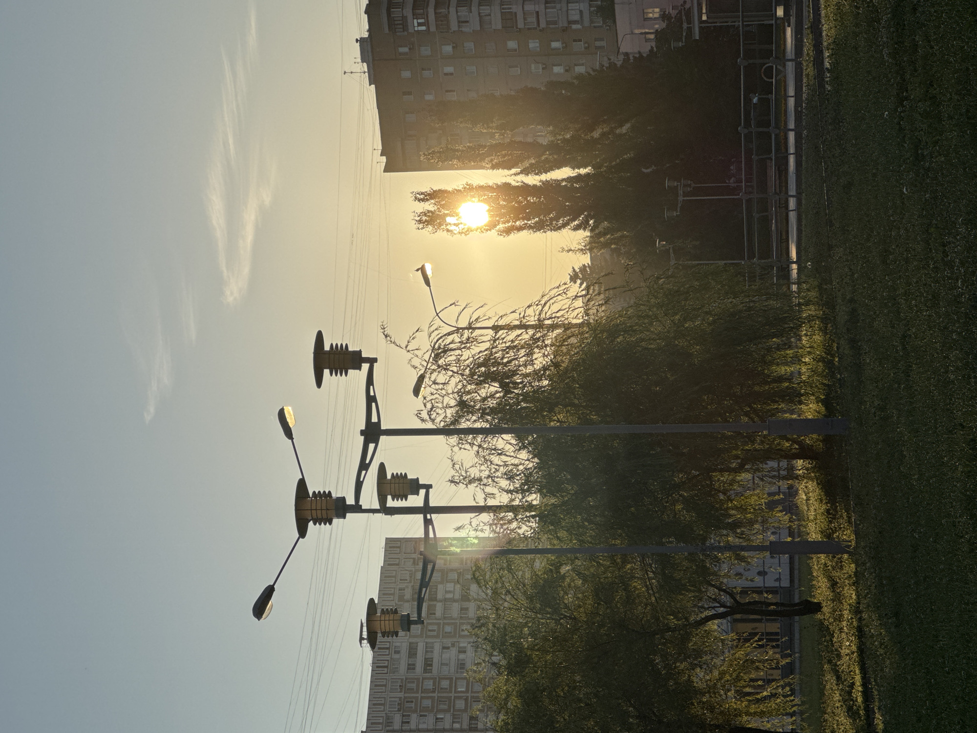 This image depicts a streetscape at sunrise in Moscow, Russia. The sun is low on the horizon, casting a warm glow and long shadows across the scene. Multiple streetlights with modern designs are visible, some illuminated. In the background, tall residential buildings with numerous windows line the street. Lush trees, including what appears to be a weeping willow on the left, are interspersed throughout the urban environment. The ground is covered in grass, suggesting a park or green space within the city. The sky is a clear blue with a few wispy clouds, characteristic of a calm morning. The overall impression is one of a peaceful urban setting bathed in the gentle light of dawn.