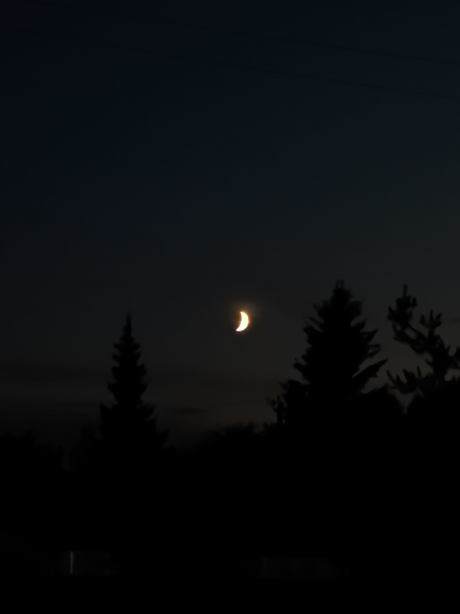 A crescent moon is visible in the dark sky above a silhouette of trees. The moon is a bright, pale yellow, and its curved shape is clearly defined. The trees are dark green and appear to be evergreen trees, with tall, pointed tops. The sky is a deep blue, with a few faint clouds visible. The overall scene is one of peacefulness and natural beauty.