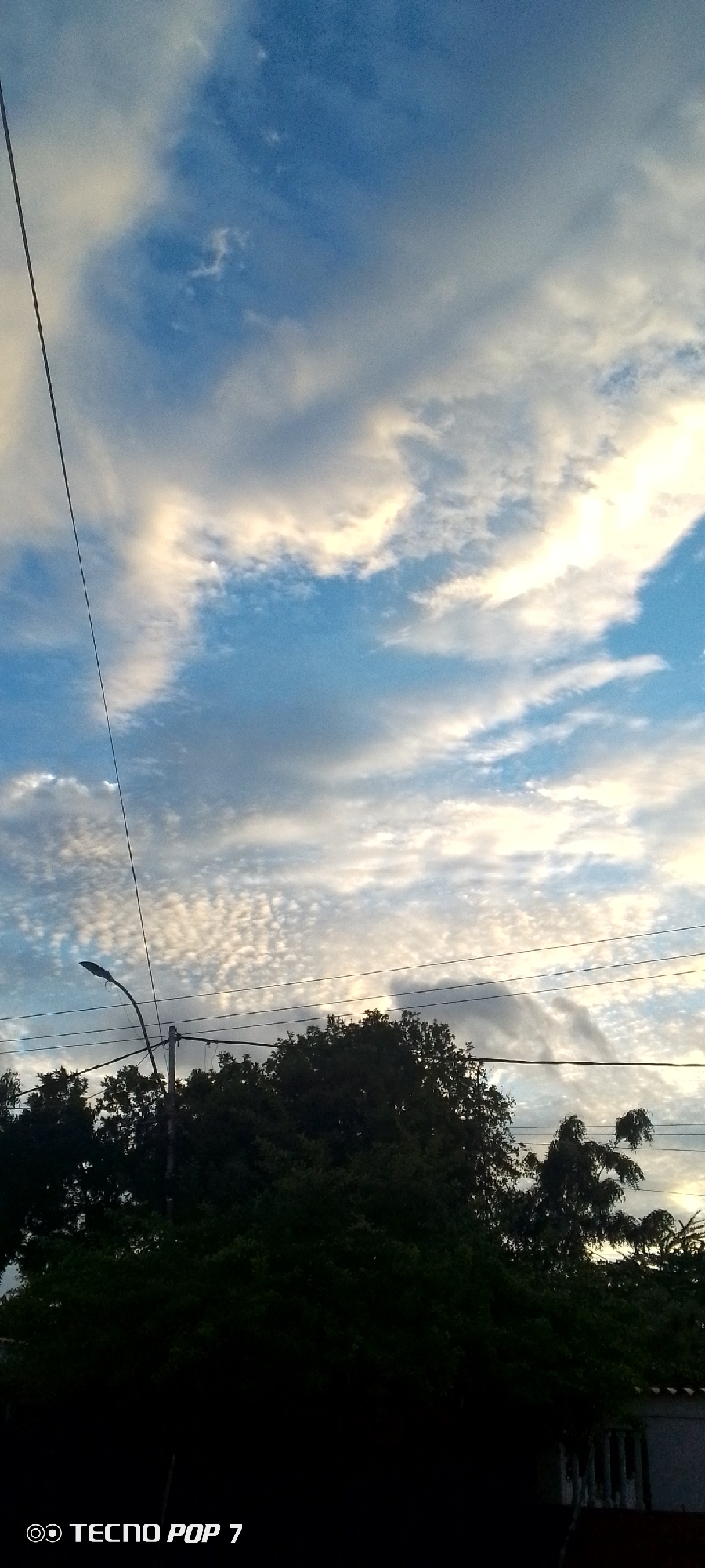 A vertical, low-angle shot captures a cloudy sky over dense green trees, a street lamp, and overhead wires. The sky displays a gradient of blues and whites, with scattered clouds ranging from wispy cirrus formations to larger, textured cumulus clouds illuminated by soft, yellowish light, suggesting either dawn or dusk. A dark, thin electrical wire bisects the upper left portion of the frame, extending diagonally downwards. Below the sky, a silhouetted street lamp with a curved arm stands to the left of center, attached to a pole. Several dark electrical wires run horizontally across the mid-section of the image, intersecting the street lamp. The bottom half of the image is dominated by the dark, dense foliage of trees. On the far right, a sliver of a building with a tiled roof is visible. The lower left corner of the image contains a watermark reading "TECNO POP 7." The scene is likely a street or residential area in Altagracia, Venezuela, given the characteristic vegetation and infrastructure.