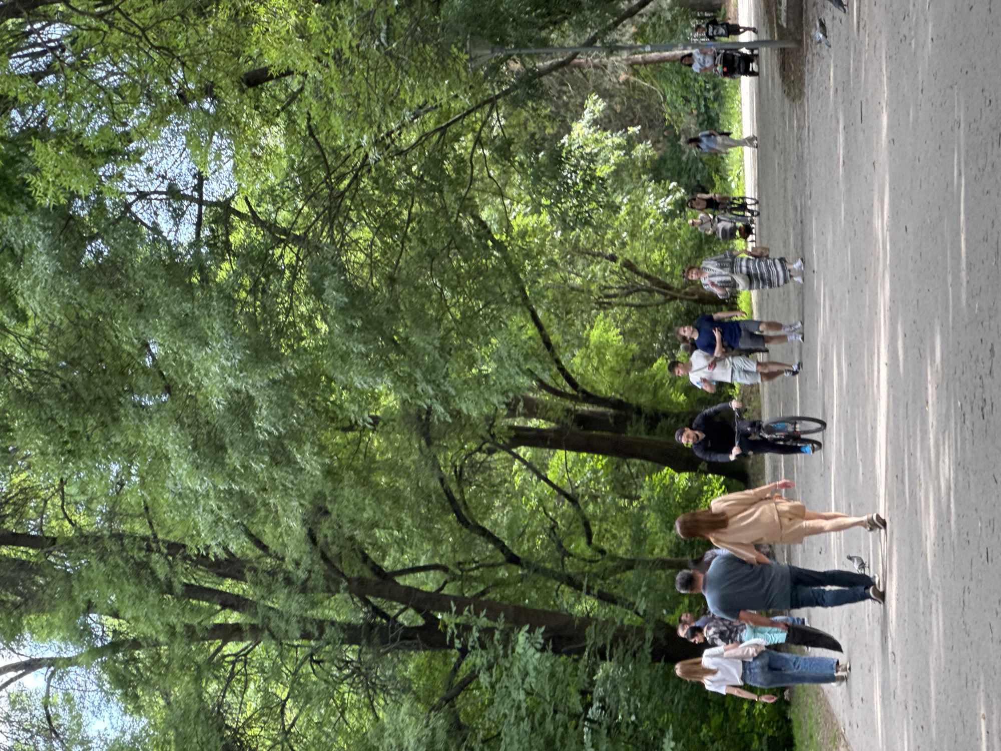 This image depicts a public park path in Sofia, Bulgaria, on a bright, sunny day. The scene is dominated by dense green foliage from numerous deciduous trees, creating a natural canopy and casting dappled light and shadows across the wide, unpaved path.
Approximately 15-20 individuals are visible on the path, engaged in various leisure activities. In the foreground, from left to right:
* A woman with light brown hair, wearing a white t-shirt and blue jeans, walks away from the camera.
* A man with short grey hair, wearing a dark blue t-shirt and dark jeans, walks away, holding a long, dark object (possibly an umbrella or rolled mat) in his left hand.
* A woman with light brown hair, wearing a light beige two-piece outfit (top and shorts), walks away from the camera. A small grey bird, likely a pigeon, is on the path near her feet.
* A man with a dark beard and cap, wearing a black long-sleeved shirt and black trousers, cycles towards the camera on a dark bicycle.
In the mid-ground, further along the path, other individuals are visible:
* On the left, two young men walk towards the right; one in a white t-shirt and light shorts, the other in a blue t-shirt and dark shorts.
* In the center, a woman in a black and white striped dress, carrying a light bag, walks towards the camera.
* Further right, another woman walks towards the camera, while a person on a bicycle moves away.
* On the far right, a man pushes a dark baby stroller, and a child in a dark shirt walks nearby.
* Multiple pigeons are visible on the path towards the right side.
A dark grey lamppost stands vertically on the right side of the path in the mid-ground, partially obscured by trees. The path itself appears to be made of compacted earth or gravel, well-trodden and dry. The overall environment suggests an urban park designed for recreation and pedestrian traffic.