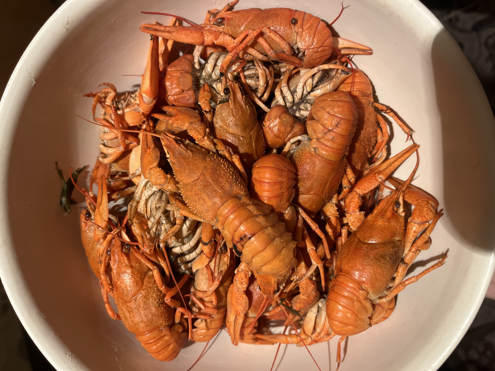 This media file is a close-up, overhead shot of a large white bowl filled with cooked crawfish. The crawfish are a vibrant orange-red color, indicating they have been boiled or steamed. They are piled high in the bowl, with their claws, tails, and antennae intermingled. Some of the crawfish are larger and more prominently displayed, while others are partially obscured by the others. The texture of the crawfish shells is visible, with some appearing smoother and others more segmented. The lighting suggests the photo was taken indoors, possibly in natural light due to the soft shadows. The background is slightly out of focus, with hints of a darker, patterned surface. There is no visible text in the image. The scene depicts a culinary preparation or a finished dish, likely intended for consumption. The location context provided, Tobyl, Kazakhstan, might suggest a regional delicacy or a dish enjoyed in that area.
