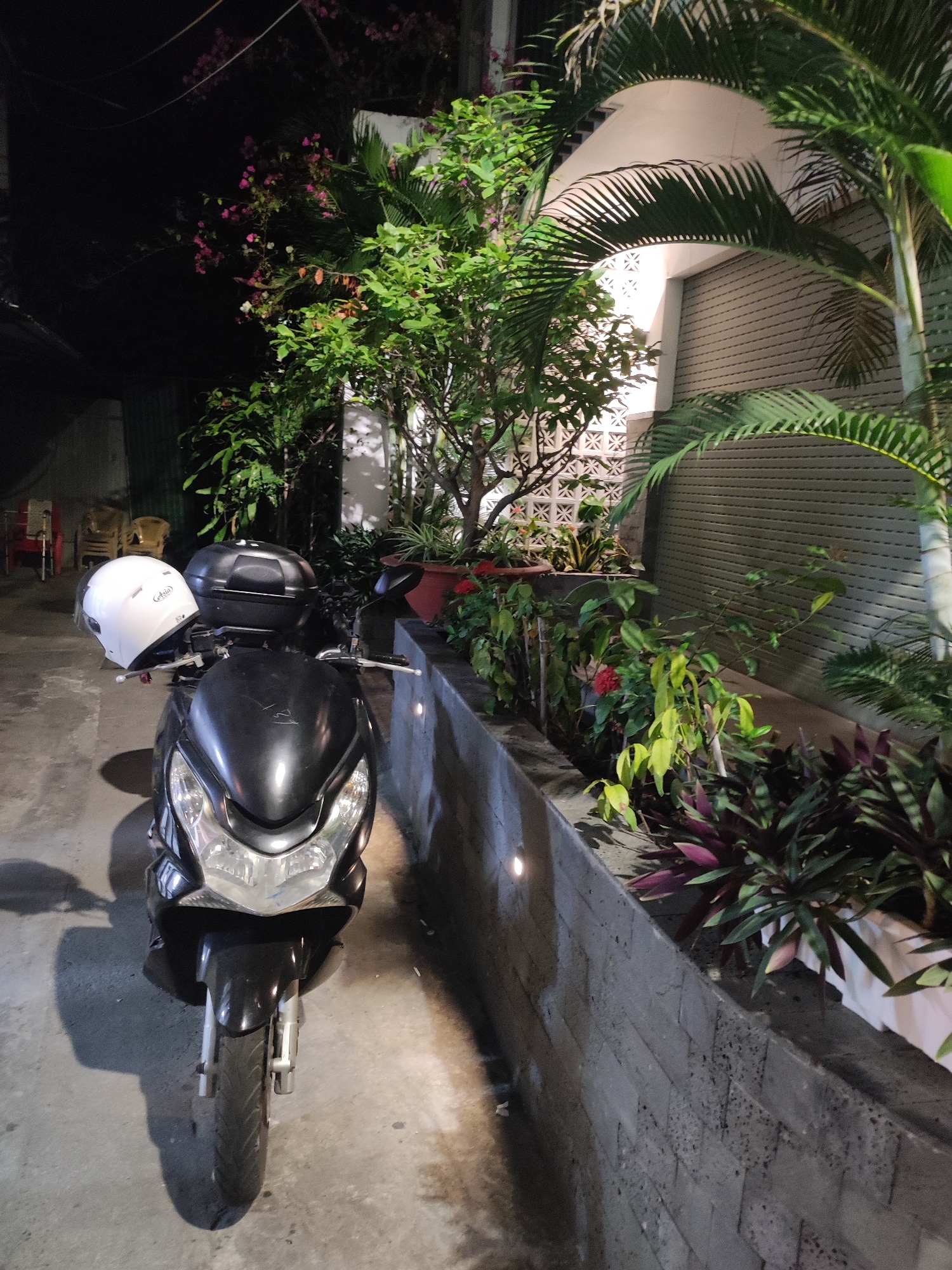 In Nha Trang Ward, Vietnam, at night, a black scooter is parked on a concrete surface in front of a building with an arched entryway. A white helmet is placed on the handlebars of the scooter, and a black storage box is mounted behind the seat. The scooter's headlights are off. To the right of the scooter, a wall made of grey bricks runs along a planter filled with various plants, including palm trees and dark purple foliage. The building behind the plants has a corrugated metal door and decorative white lattice work. The scene is illuminated by artificial lights, casting shadows on the ground. The overall ambiance is that of a quiet, urban setting after dark.