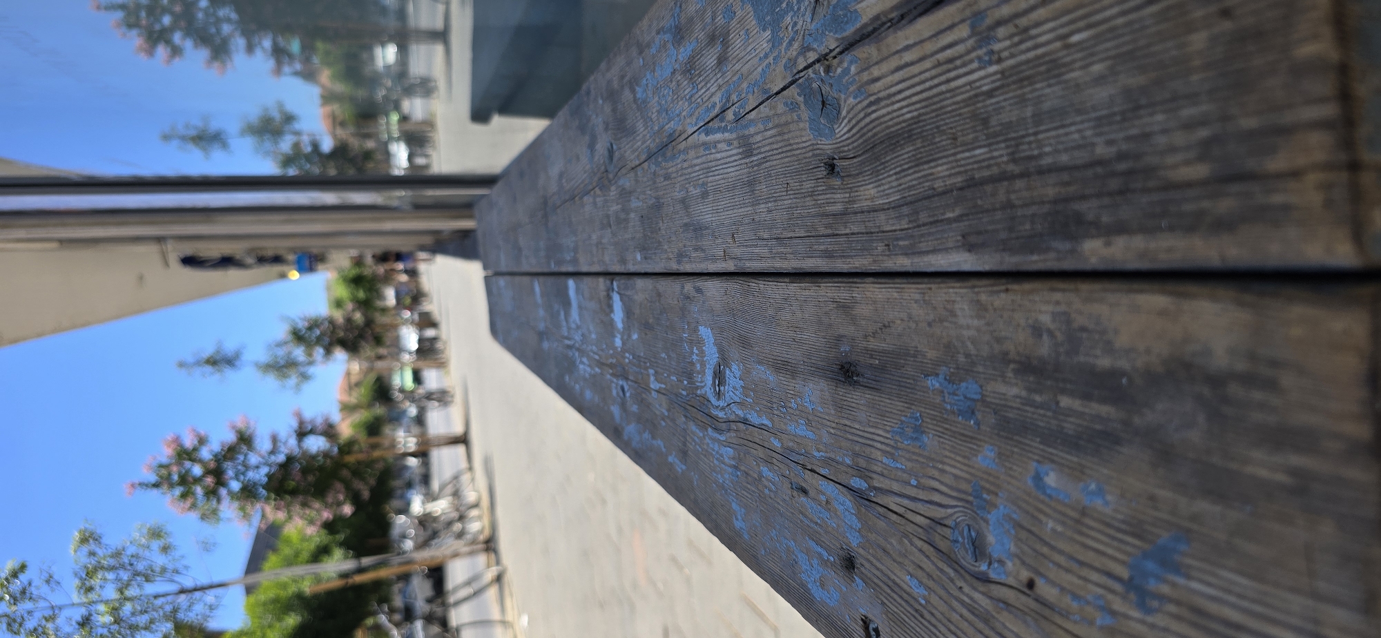 The image shows a close-up of a weathered wooden surface, likely a bench, with patches of peeling blue paint. The wood grain is prominent, indicating age and exposure to the elements. In the background, a blurred street scene unfolds under a bright blue sky. Trees with small pink blossoms are visible, as well as parked bicycles and some cars. The reflection of the sky and trees is visible in a large glass window on the right side of the frame. The overall impression is a sunny day in an urban setting, possibly a public area in Tel-Aviv, Israel, given the context provided. The foreground bench is in sharp focus, while the background elements are out of focus, creating a shallow depth of field.