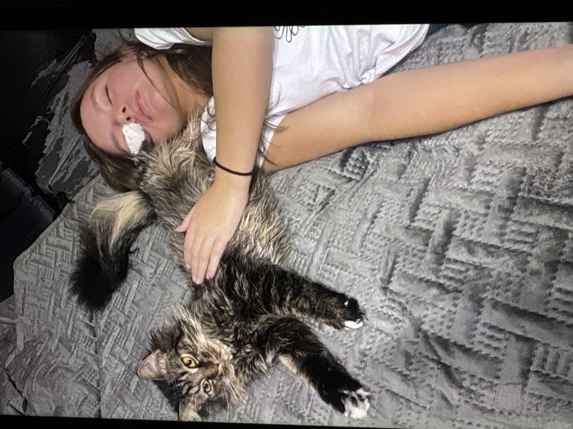 A fluffy, long-haired tabby cat with yellow eyes is lying on a textured grey blanket next to a young woman. The cat is positioned on its left side, with its head facing the viewer and its right paw extended forward. Its tail is arched upwards and to the left. A human hand is resting on the cat's back, between its shoulder blades. The young woman is lying on her back with her head turned to the right. A white patch is covering her right eye. Her hair is dark brown and falls around her face. She is wearing a white t-shirt. The scene appears to be indoors, on a bed or sofa. The image does not contain any information about the city of Navahrudak, Belarus.
