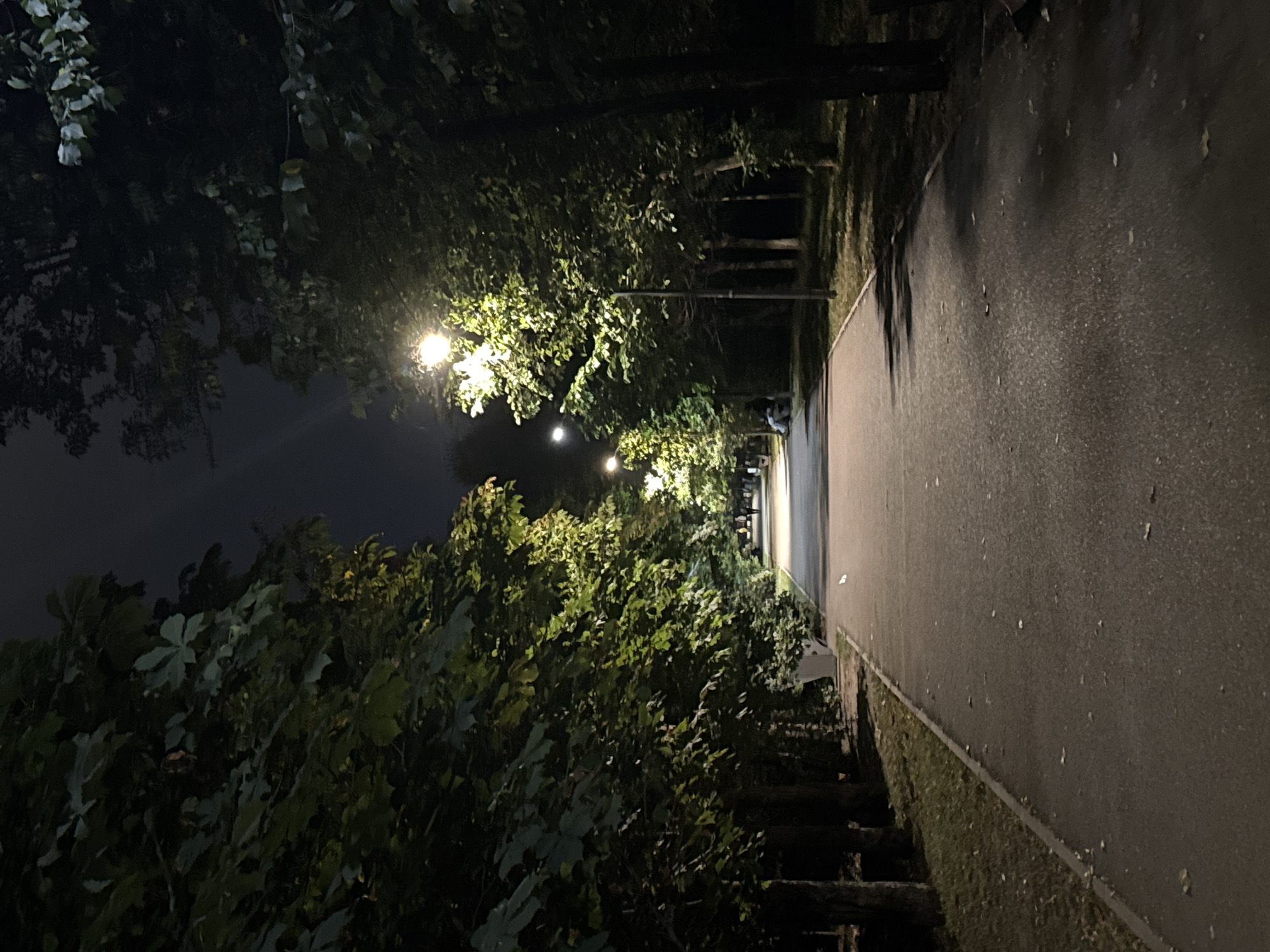 The image depicts a nighttime scene in a park, likely in Almaty, Kazakhstan, characterized by a paved pathway lined with trees. The pathway recedes into the distance, illuminated by streetlights that cast a warm glow on the surrounding foliage and pavement. Several trees are visible, with dense canopies that create a sense of enclosure and shadow.
In the mid-ground, a few individuals are present. On the right side of the pathway, two people are seated, appearing to be resting or conversing. Further down the path, a small group of people can be seen walking.
The environment is dark, with the night sky visible above the tree line. The overall impression is one of a quiet and serene park setting at night, with the artificial lighting providing visibility and ambiance. The presence of scattered leaves on the pathway suggests it might be autumn.