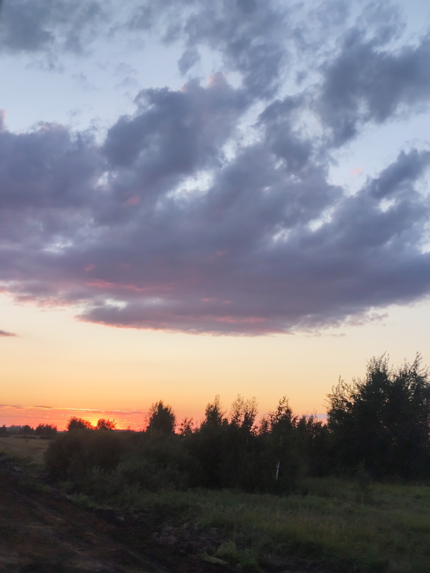 This is a vertical, eye-level, full shot of a rural landscape at dusk. The sky is a gradient of soft blues and grays, with darker clouds dominating the upper portion and lighter, pink-tinged clouds nearer the horizon. The sun is setting, casting a warm orange glow on the horizon and the undersides of some clouds. A line of dark trees and shrubs runs horizontally across the middle ground, silhouetted against the sky. In the foreground, dark earth and green grass make up the ground. The location is Бәйтерек ауылдық округі, Kazakhstan.