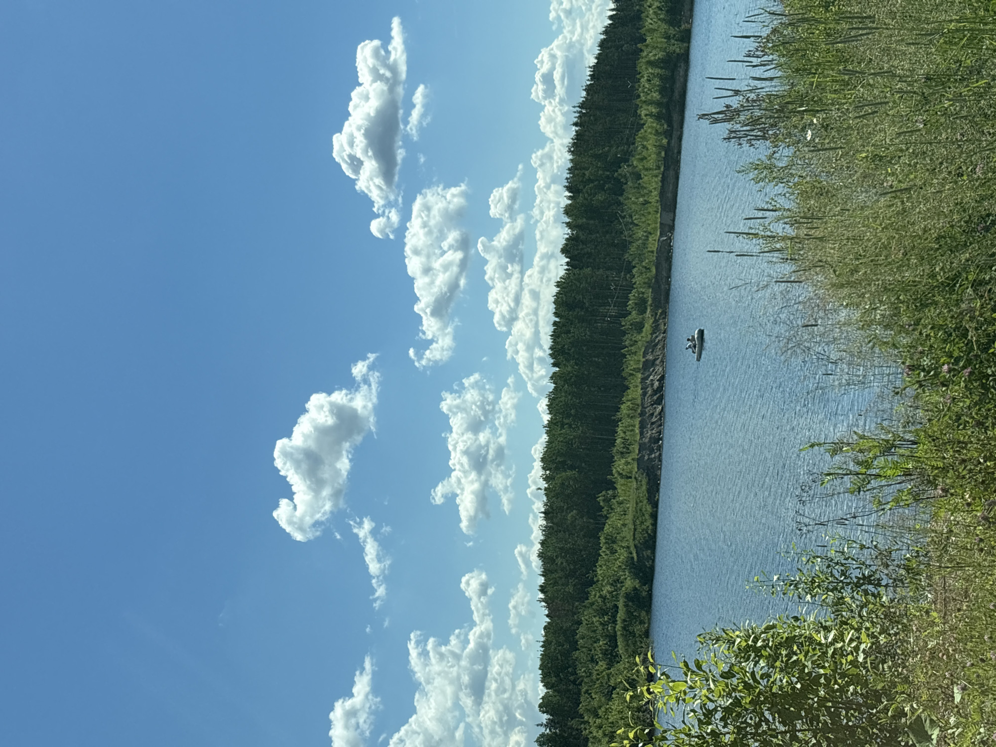 The image depicts a serene natural landscape under a bright blue sky dotted with fluffy white clouds. In the foreground, lush green foliage and tall grasses line the bank of a calm blue lake. Across the water, a dense forest forms a verdant backdrop, with the trees extending to the horizon. A small boat with two individuals can be seen in the middle of the lake, suggesting a leisurely activity. The overall scene conveys a sense of peace and natural beauty.