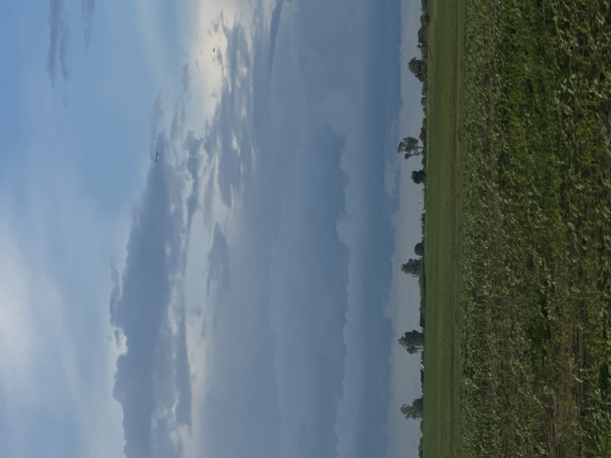 This is a landscape photograph taken in the Акцябрскі сельскі Савет, Belarus. The image is oriented vertically, presenting a view of a field with a line of trees in the distance and a cloudy sky.
The primary subjects are the expansive green field, which appears to be a crop, and the sky above. The field occupies the right side of the frame and shows rows of green plants. Along the horizon, a line of trees breaks up the flat landscape. The sky, which fills the left side of the image, is characterized by a mix of light blue and grey clouds. Some of the clouds are wispy, while others are more dense and textured. There is a small, dark silhouette of a bird in flight in the upper left portion of the sky.
The scene suggests an outdoor, rural setting. The lighting indicates it is likely daytime, possibly late afternoon or early evening, given the quality of light and the cloud formations. The weather appears to be mixed, with sunshine breaking through the clouds. There are no people or specific objects of interest other than the natural elements. The overall mood is serene and naturalistic. There is no visible text in the image.