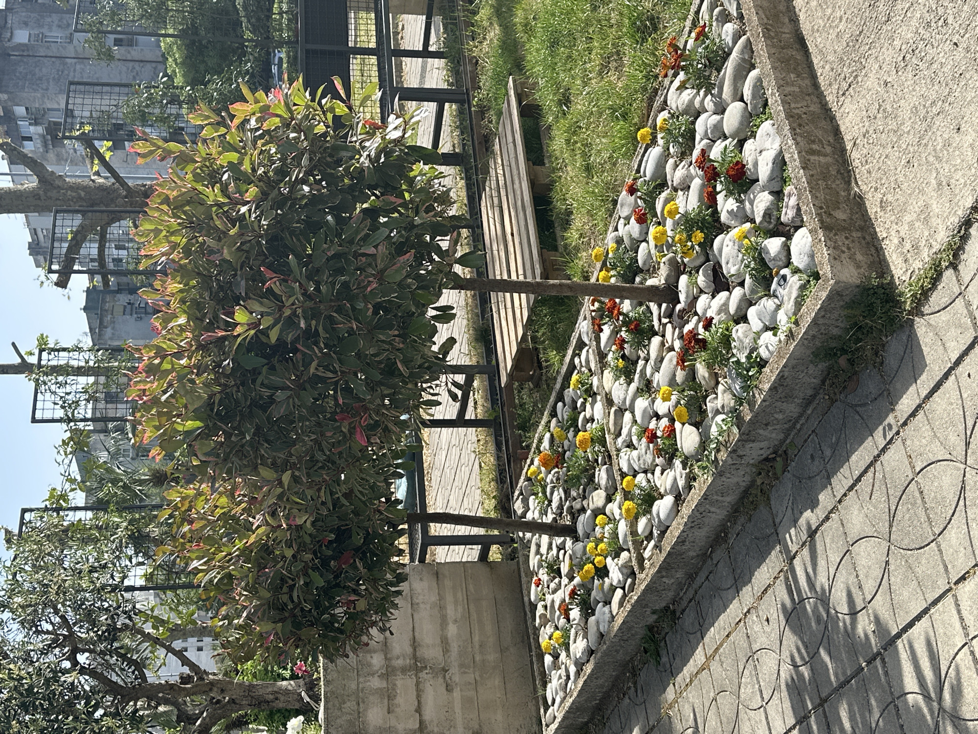 The image shows a landscaped area in Šušanj, Montenegro, featuring a bench beside a flower bed. The flower bed is filled with white stones and orange and yellow flowers. A small tree grows next to the flower bed. The surrounding area includes grass, paved walkways, and residential buildings. A section of black metal fencing is visible. The scene is in daylight with shadows cast on the ground.