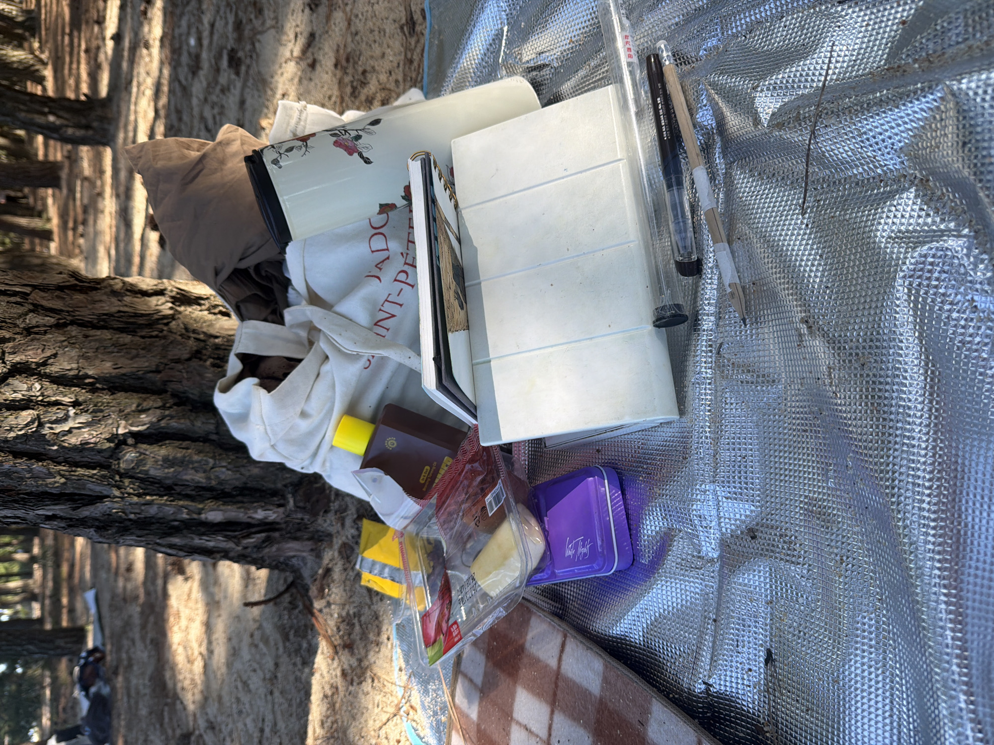In Gangneung-si, South Korea, on a sandy ground shaded by trees, a collection of items is laid out on a silver, textured mat. In the foreground, several objects are visible: a clear plastic container with what appears to be sliced cheese and some cured meat, a small purple rectangular case, and a white rectangular item with segmented sections. To the left of these, a brown and white checkered board is partially visible. Behind these items, a white canvas bag is laden with contents, including a bottle with a yellow cap that appears to be sunscreen or oil, and a decorative cylindrical container with floral motifs. A notebook lies open on top of other items in the bag. Further back, a brown fabric is draped over some of the contents. At the very bottom of the image, two writing implements, a black pen and a wooden pencil with white tape, are placed on the mat. The background shows more trees and sandy terrain.
