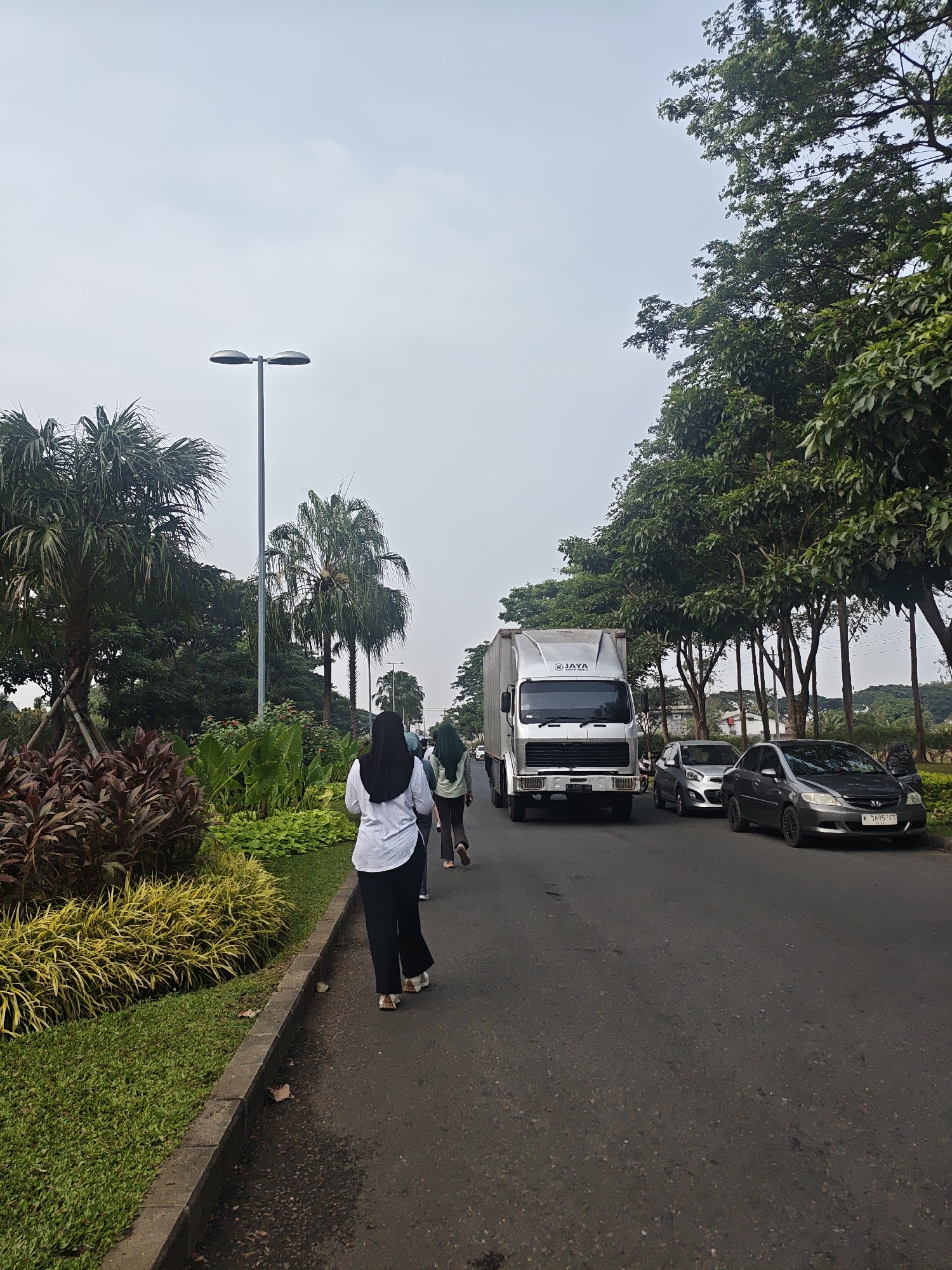 The image depicts a street scene in Bacin, Indonesia, with a paved road bordered by a grassy verge and lush vegetation. On the left side of the road, a variety of plants, including palm trees and decorative shrubs with reddish-purple and yellow foliage, are visible. A tall, modern street lamp stands prominently in the mid-ground.
Several individuals are walking along the side of the road. In the foreground, a person wearing a white shirt and black pants walks away from the camera, followed by two other individuals in casual attire. Further down the road, a silver truck with "JAYA" logo is parked on the right side, alongside two cars: a silver hatchback and a dark grey sedan. The sedan has its driver's side door open. The background is filled with dense green trees and a pale, overcast sky.