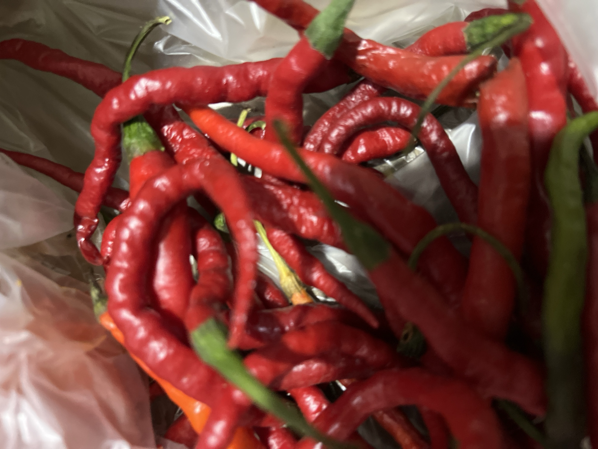 The image shows a close-up, slightly blurry view of a pile of fresh red chili peppers, some of which have green stems. The peppers are long and slender, with a wrinkled texture. They are contained within a translucent plastic bag, which is also visible in the background. The lighting suggests it could be indoors, as there are no strong shadows. The focus is entirely on the chilies, emphasizing their vibrant red color and organic shapes. There is no discernible text within the image. Given the location context of Benuaraja, Indonesia, it's likely these chilies are a local produce, possibly being prepared for a meal or for sale. The image captures a simple still life of fresh ingredients.