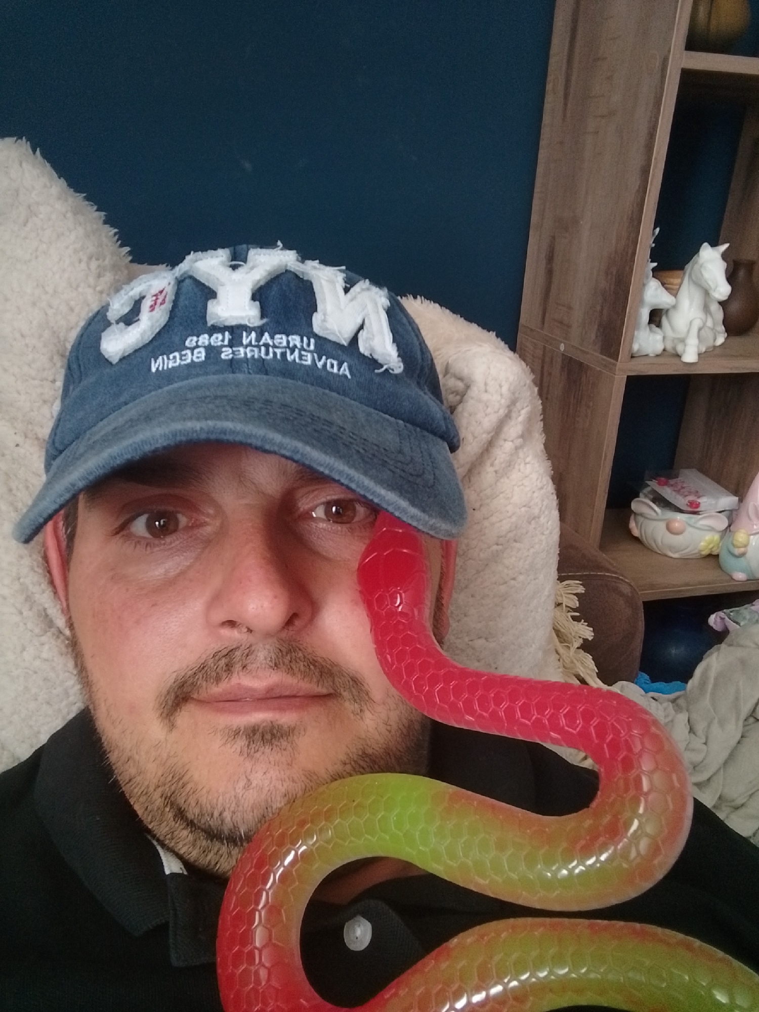 The image shows a close-up selfie of a man wearing a blue baseball cap and a black collared shirt. A red and green flexible snake-like toy is draped around his neck and face, partially obscuring his chin and cheek. The man has brown eyes and stubble. Behind him, a textured cream-colored blanket or pillow is visible, along with a section of a wooden shelf unit containing decorative items like a white horse figurine and a vase. The background wall is a dark blue. There is no discernible location in the city of Wedel, Germany.