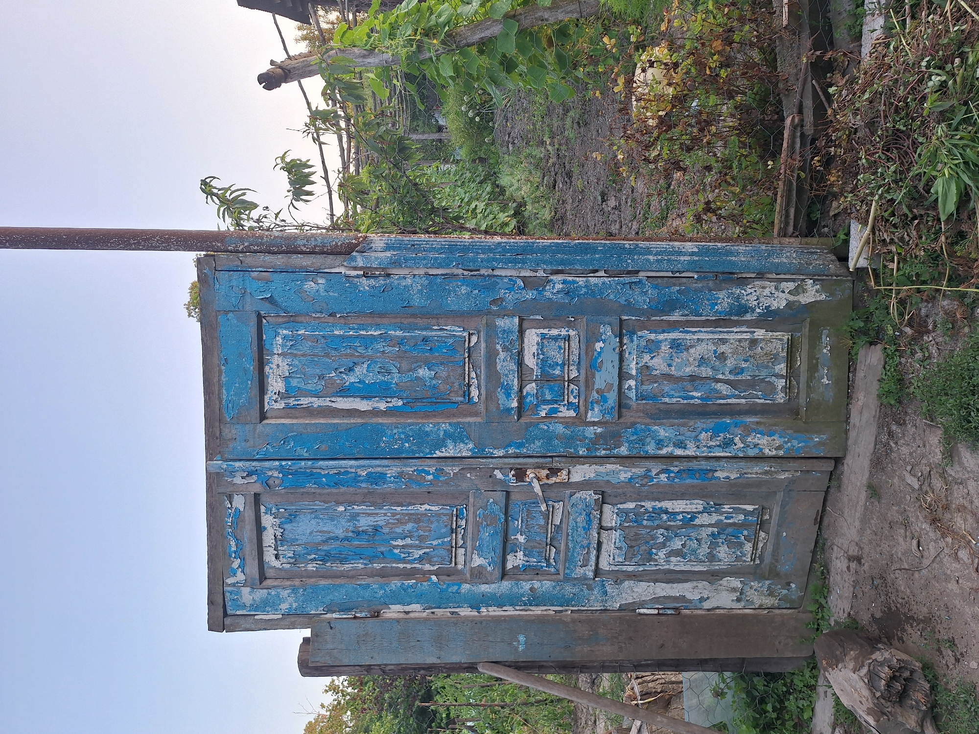The image shows a weathered, blue wooden double door set within a rustic outdoor environment. The paint on the doors is peeling, revealing older layers of paint and the bare wood underneath. The doors have a simple design with rectangular panels. A metal door handle is visible on the right-hand door.
To the left of the doors, a rough wooden post stands upright, and a long, wooden tool, possibly a rake or shovel, leans against it. Behind the doors, a garden or yard is visible, with plants, vines, and trellises suggesting cultivation. A metal pole stands near the doors, and a wooden fence or structure is present further back. The ground in front of the doors is a mixture of dirt and some green vegetation. The overall scene evokes a sense of neglect or disuse, but with the underlying signs of a functional outdoor space.
The image is located in the city of Nabran, Azerbaijan, a resort town known for its natural beauty and coastal landscapes. The setting depicted is consistent with the rural or semi-rural character that can be found in areas surrounding such towns. The presence of a garden and the rustic nature of the door suggest a private property, possibly a residence or a shed within a larger estate. The time of day appears to be either early morning or late afternoon, given the soft lighting and the clear sky.