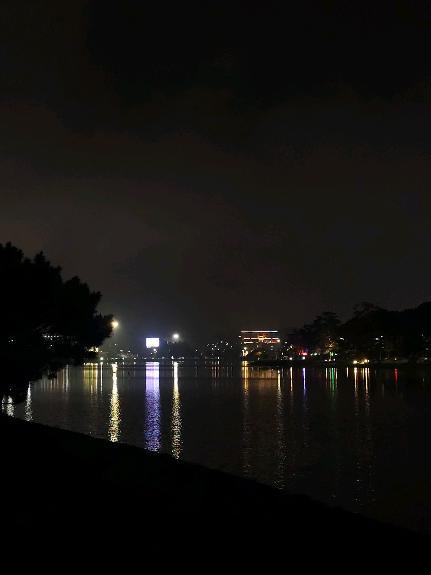 A nighttime view across a lake in Dalat, Vietnam, showcases the city's vibrant lights reflecting on the calm water. On the left, a large silhouette of pine trees borders the foreground, their dark forms stark against the illuminated cityscape. The lake itself is a dark expanse, broken by the colorful reflections of buildings and lights. Across the water, a prominent rectangular billboard with bright white lights stands out, flanked by smaller lights and a cluster of trees on the distant shore. Further to the right, several buildings are visible, illuminated with red, yellow, and other colored lights, creating a festive ambiance. The sky is dark and overcast, with the city lights casting a soft glow upwards. The overall scene is serene and picturesque, highlighting the charm of Dalat at night.