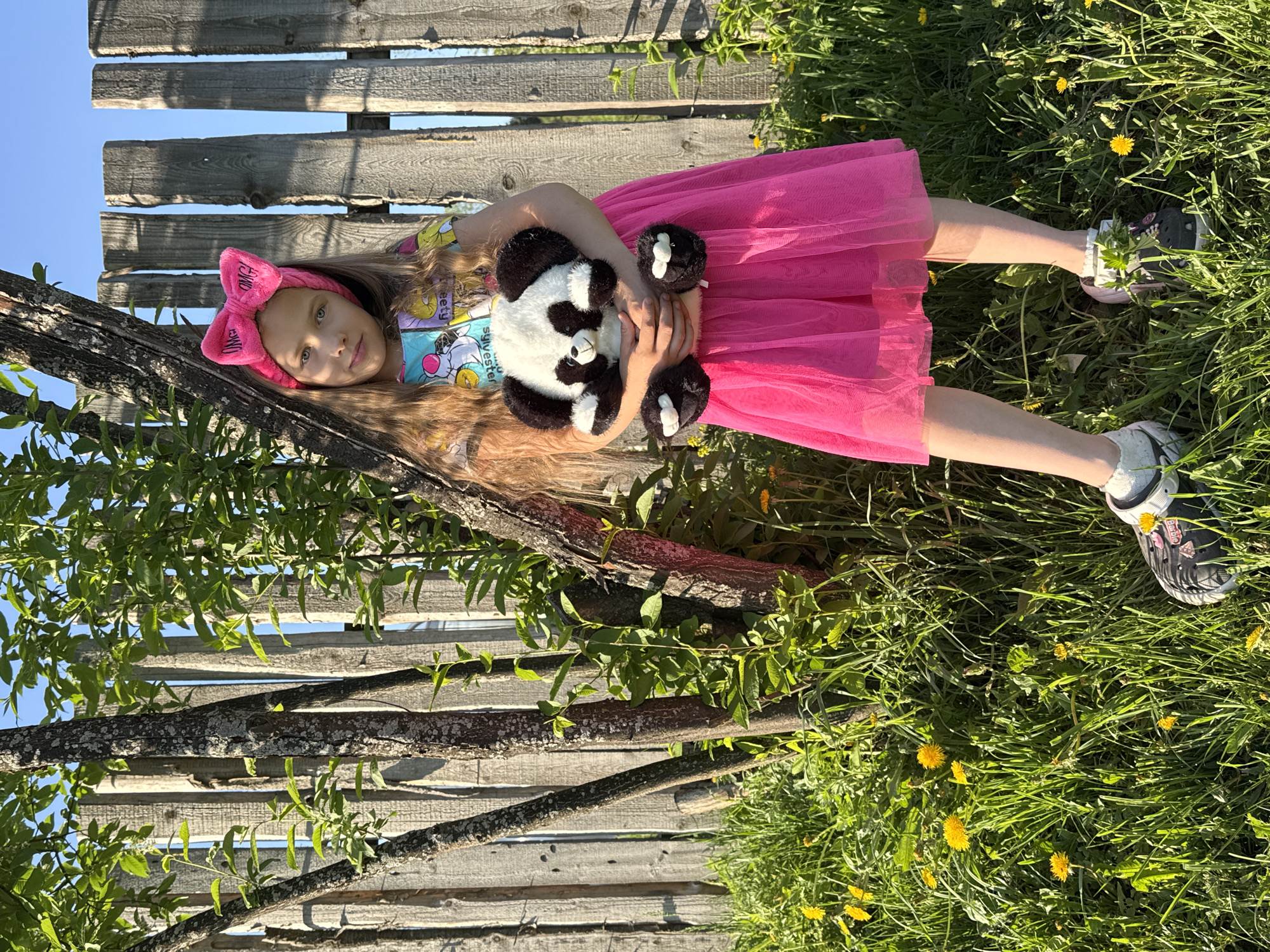 A young girl lies on her side in a grassy area next to a weathered wooden fence. She is wearing a bright pink tutu and a colorful t-shirt. She has a pink headband with a bow on her head. She is holding a stuffed panda bear. The location is Rusalevka, Russia. The background includes grass with dandelions, and the sky is visible through the gaps in the fence.