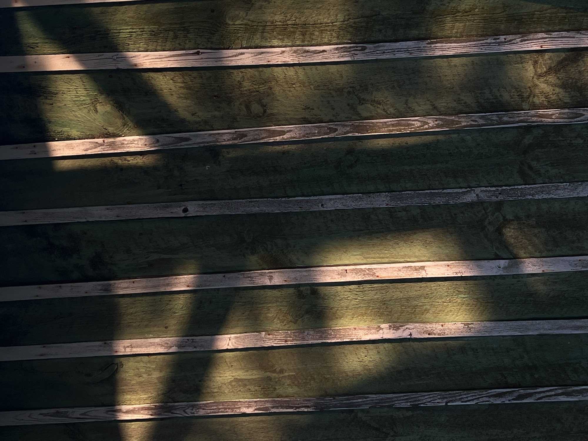 The image shows a close-up of a weathered, green wooden wall with vertical, pale wooden slats. Sunlight casts diagonal shadows across the wall, highlighting the texture of the wood. The overall impression is one of natural light interacting with a rustic surface. The location in Dys, Poland, is not discernible from the image itself.