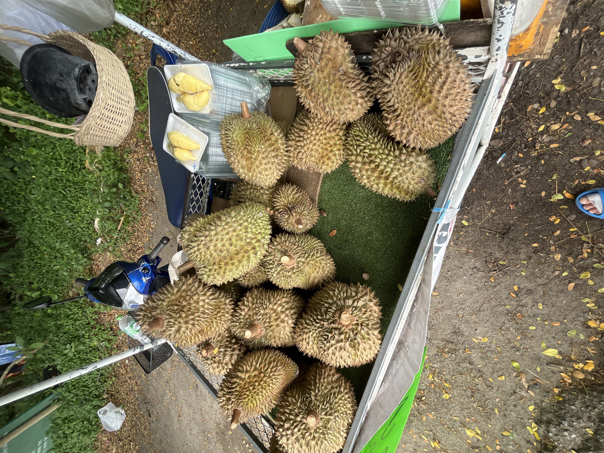 The image depicts an outdoor durian stall in Rawai, Thailand. A collection of spiky durian fruits is displayed in a cart. Next to the cart, a blue and black motorbike is parked. Above the cart, a woven basket hangs, containing a black object. Two plates of pre-cut durian segments are also visible on top of stacked plastic containers. The ground is covered with dirt and fallen leaves. A person's feet, wearing blue flip-flops, are visible in the lower left corner. The environment suggests a roadside or market setting, with green foliage and trees in the background.