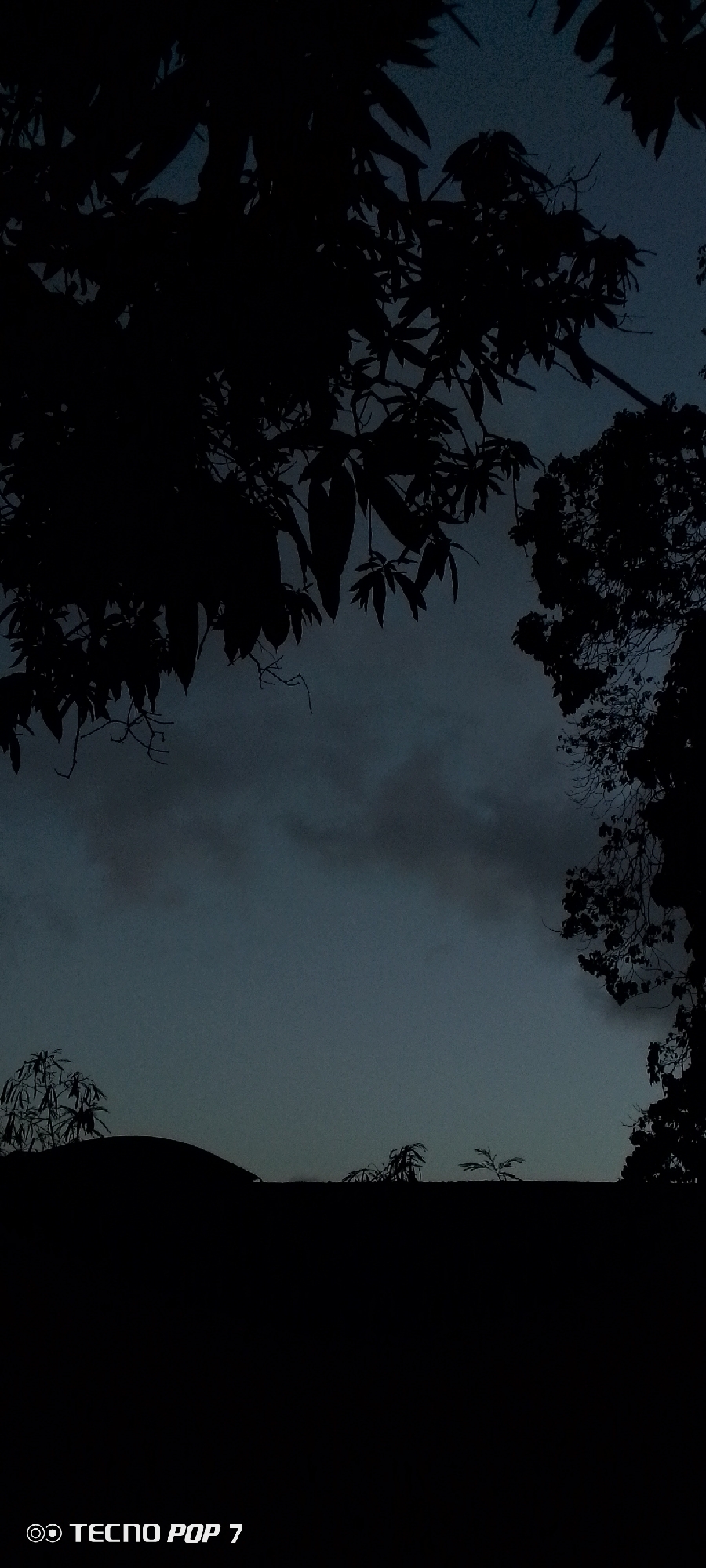 The image shows a dusk or night scene in Altagracia, Venezuela. The view is framed by the dark silhouettes of trees in the foreground. A low, dark silhouette suggesting a rooftop or building is visible in the middle ground. The sky is a dark blue/gray, with some visible cloud cover. A camera watermark "Tecno Pop 7" is present in the lower left corner.