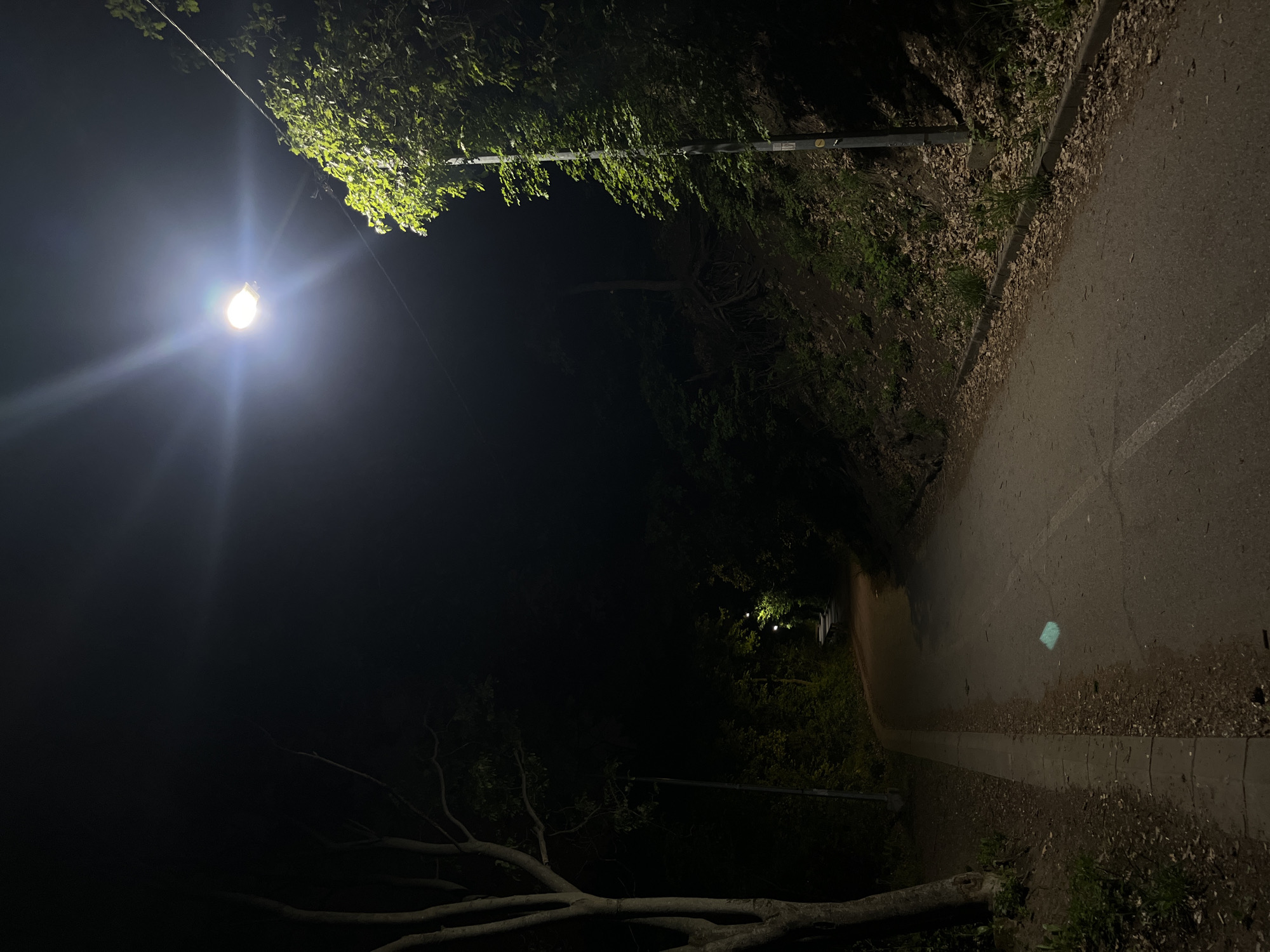 A nighttime photograph shows a dark path illuminated by a street light in Unknown, Unknown. The path is paved and edged with a curb. Vegetation lines the path on both sides, obscuring most of the background. A downed tree branch lies across the bottom of the frame. A discarded light-blue face mask is visible on the path.