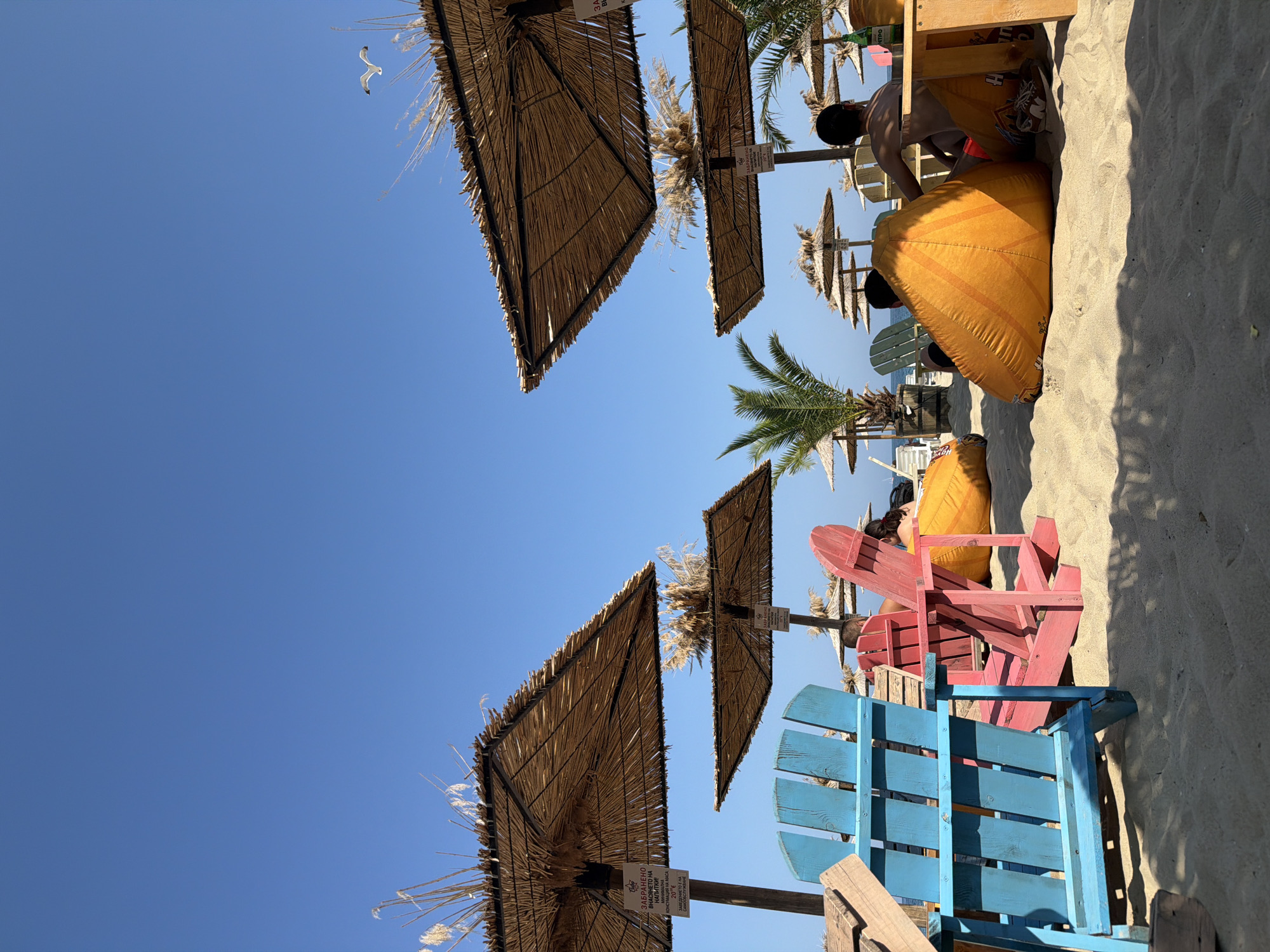 This image depicts a sunny day on a beach in Varna, Bulgaria. In the foreground, there are two colorful Adirondack chairs, one blue and one pink, on the sand. Behind these chairs, several large, straw-thatched umbrellas provide shade. Large, orange beanbag chairs are scattered on the sand. A few people are visible, some sitting on the beanbag chairs and others seated at a wooden table. One person is seen from behind, facing away from the camera, while another is partially visible. In the background, more beach umbrellas and palm trees are present, and the clear blue sky is visible above. A seagull is seen flying in the sky. The scene suggests a relaxed atmosphere at a beach resort.