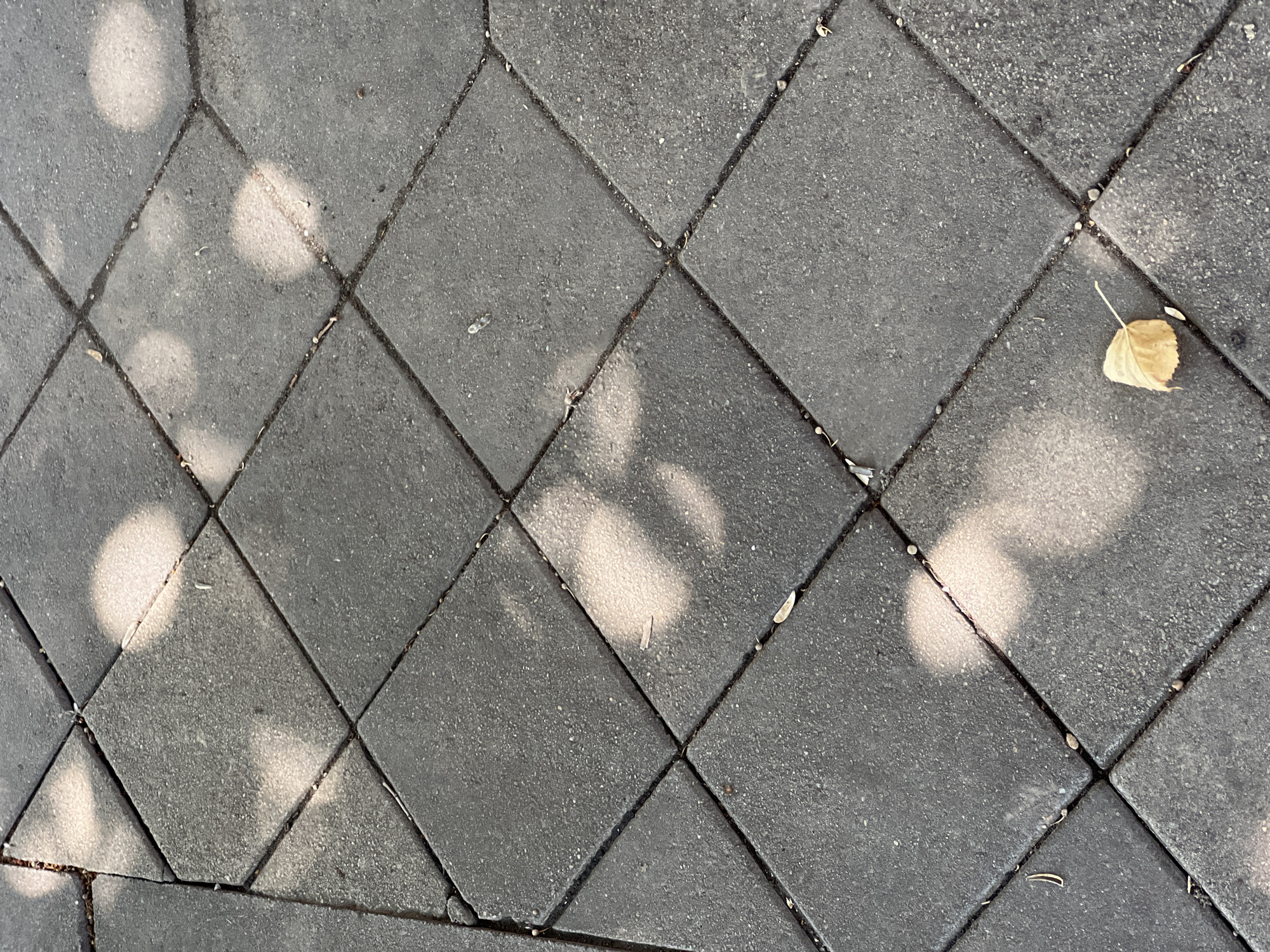 The image shows a close-up, overhead view of a paved surface composed of dark grey, diamond-shaped concrete pavers. The pavers are laid in a regular pattern, creating diagonal lines across the image. Sunlight casts dappled shadows of leaves and possibly branches onto the pavement, creating irregular, lighter patches. There are some small pebbles and debris in the gaps between the pavers. A single, dried yellow leaf rests on one of the pavers in the lower right quadrant of the image. The scene depicts an outdoor pedestrian area, possibly a sidewalk or plaza. This image is not specific to Krasnodar, Russia, or any other particular location as there are no identifying features present.