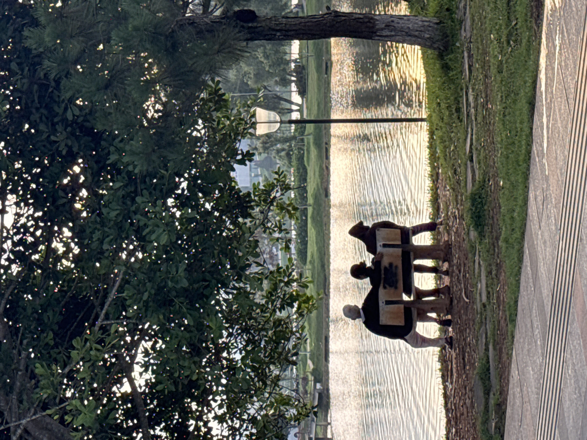 The image depicts an outdoor scene at Xuan Huong Lake in Da Lat, Vietnam, under indirect sunlight suggesting late afternoon or early morning. Three individuals are seated on a wooden bench, viewed from behind, facing across the lake. The leftmost person is elderly with light-colored hair, wearing dark clothing and light trousers. The central figure is smaller, dressed in dark attire, positioned beside the rightmost individual who wears a dark hooded garment. Above the bench, a broad-leafed tree casts dappled light through its foliage. To the right, a pine tree stands beside an unlit street lamp with a white glass shade. The lake's surface reflects the light with a shimmering gold and silver hue. The immediate foreground features a paved pathway with parallel tactile strips, giving way to a grassy bank leading to the water. Distant shorelines show green parkland, scattered trees, a small pier, and faint urban structures.