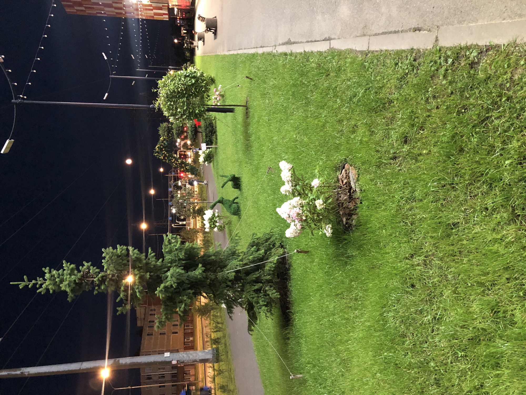 This is an outdoor, eye-level, medium shot taken at night in an urban park-like setting, likely a public walkway or plaza adjacent to a street. The foreground is dominated by a lush green lawn with a small bush of pink and white flowers towards the bottom right. A young evergreen tree stands prominently in the mid-left of the frame, its base secured with rope tied to short wooden stakes. To the right of the evergreen, a topiary shaped like a rabbit is visible on the lawn, and further to the right, another spherical topiary and a small tree with a rounded canopy are present. The walkway extends from the right edge of the frame into the distance, with several park benches lining its edge.
In the background, streetlights and string lights illuminate the scene. A tall concrete utility pole is on the far left. Beyond the lawn and walkway, buildings with illuminated windows are visible. The sky is dark, indicating it is nighttime, and a bright full moon is visible high in the sky. The overall impression is that of a well-maintained public space decorated for an evening.