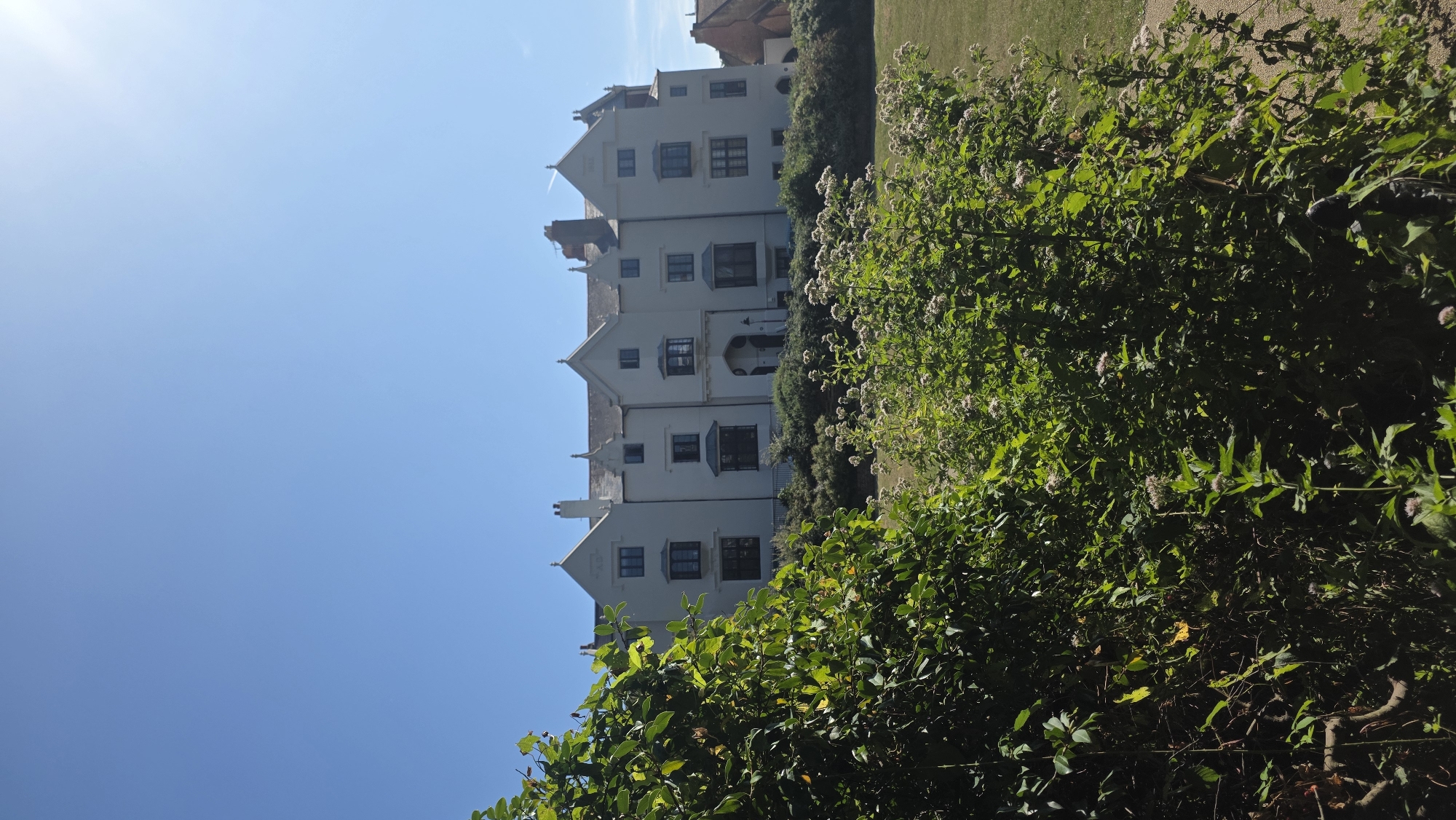 The image captures a large, white, three-story building with multiple gabled roofs, situated on a slight incline. The building appears to be a stately home or hotel, with numerous windows, some of which are bay windows. In the foreground, lush green foliage and flowering plants obscure the lower portion of the building and the surrounding grounds. The sky is a clear, bright blue, with the sun visible in the upper right quadrant, casting a slight glare on the scene. The overall impression is of a well-maintained property set within a verdant landscape. This building is the aforementioned "The Gables" in St Leonards-on-Sea, East Sussex, United Kingdom, which was formerly known as The Eversfield Convalescent Home, and a children's home, and is now a residential care home.
