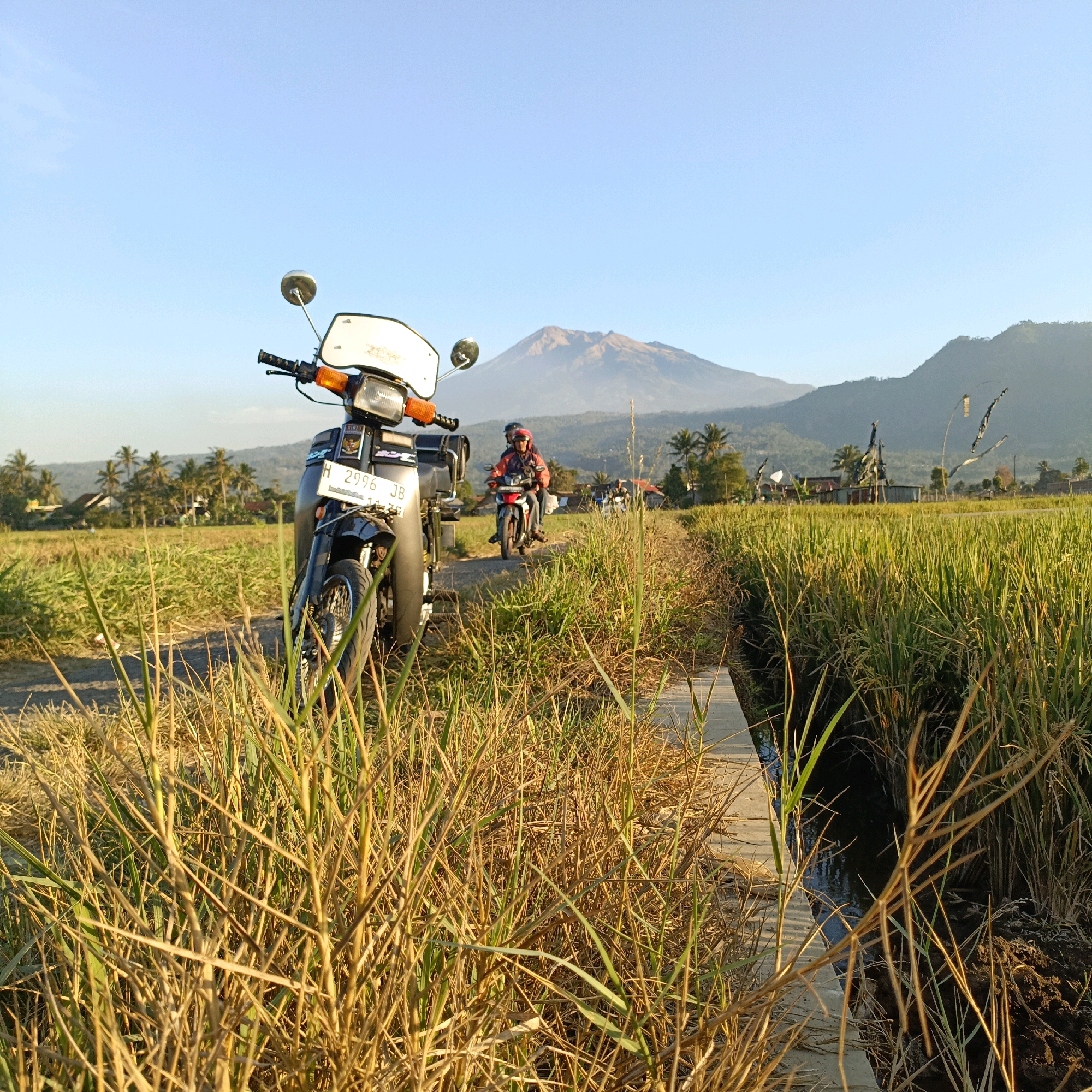 The image captures a rural landscape in Rowosari, Indonesia, likely during the late afternoon due to the warm, golden light illuminating the scene. In the foreground, a black scooter is parked on a dirt path, partially obscured by tall, dry grass. The scooter features an orange turn signal, a white windshield, and a license plate that reads "H 2996 JB". Further down the path, two individuals on a red and white scooter are riding away from the camera. The middle ground is dominated by lush green rice paddies, with a narrow irrigation channel running alongside the path. In the background, a majestic, mist-shrouded mountain stands tall against a clear blue sky. Scattered palm trees and modest houses are visible amidst the vegetation, suggesting a small village or rural settlement. The overall impression is one of peaceful, everyday life in a scenic Indonesian countryside.
