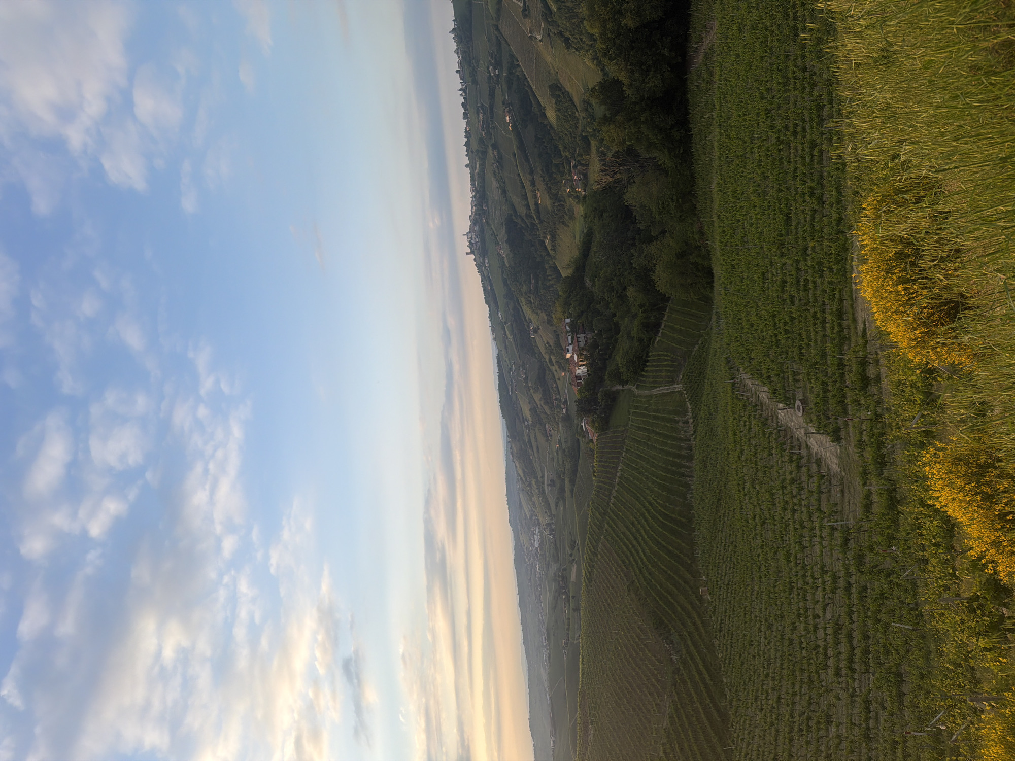 The image shows a landscape near Santo Stefano Belbo, Italy. The sky is light blue with white and some orange clouds. Below, a hillside is cultivated with rows of green vineyards and patches of yellow flowers, suggesting it is a wine-growing area. Scattered among the vines and on the slopes are houses and trees, indicating human development integrated with the natural environment.