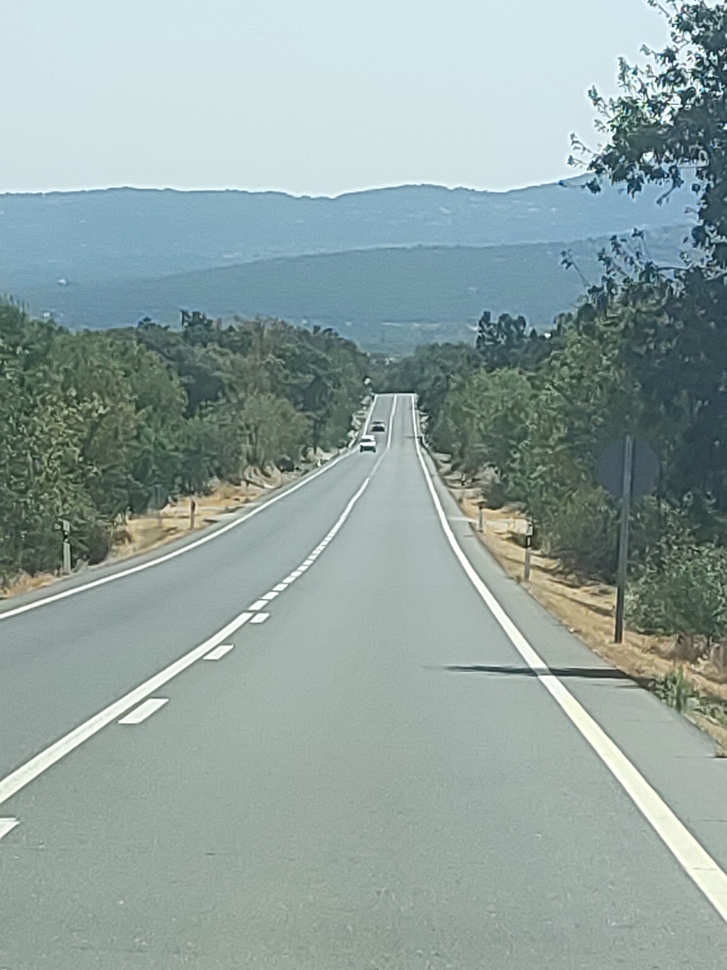 A two-lane road stretches towards a distant, hazy horizon, disappearing over a crest. Lush green trees line both sides of the road, with a dry, scrubby embankment visible in places. Two white cars are visible on the road, one further ahead and one closer. A dark, circular sign on a pole stands on the right side of the road. The sky is a pale, cloudless blue. The scene appears to be captured from a moving vehicle. This location is identified as a road in Becerril de la Sierra, Spain.