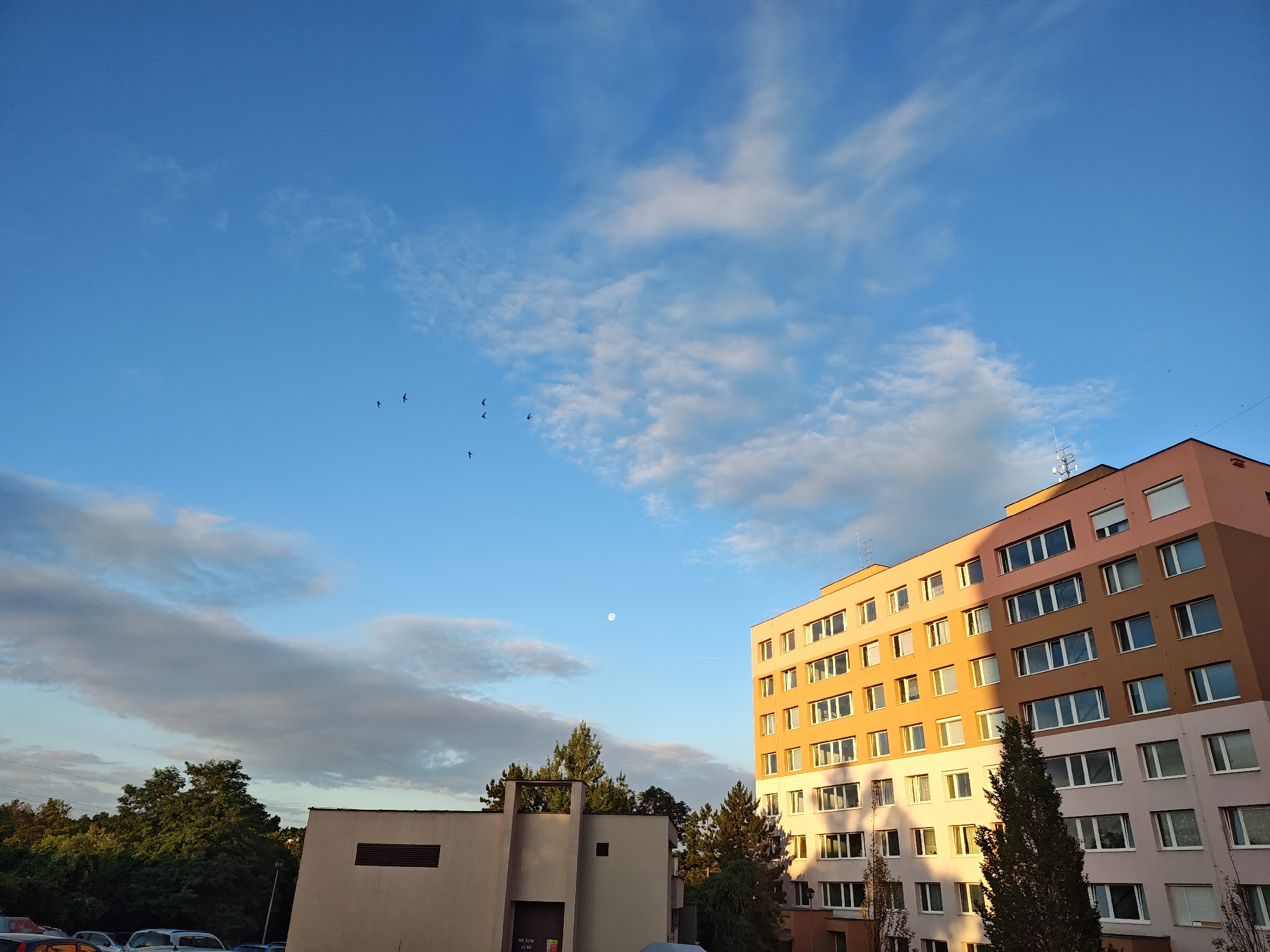 This image depicts a view of apartment buildings and trees against a bright blue sky with scattered clouds. In the upper left portion of the sky, several dark silhouettes of birds are visible in flight. A small, pale moon is present in the sky towards the upper center. On the right side of the image, a tall, multi-story apartment building with a pink and orange facade is prominent. The building has numerous windows, and the setting sun casts long shadows across its front. To the left of this building, a smaller, lighter-colored building with a dark vent is visible, along with a dense stand of green trees. In the foreground at the bottom left, the tops of several parked cars are partially visible. The scene appears to be a residential area in the city of Mělník, Czechia, likely during the late afternoon or early evening, given the quality of light.