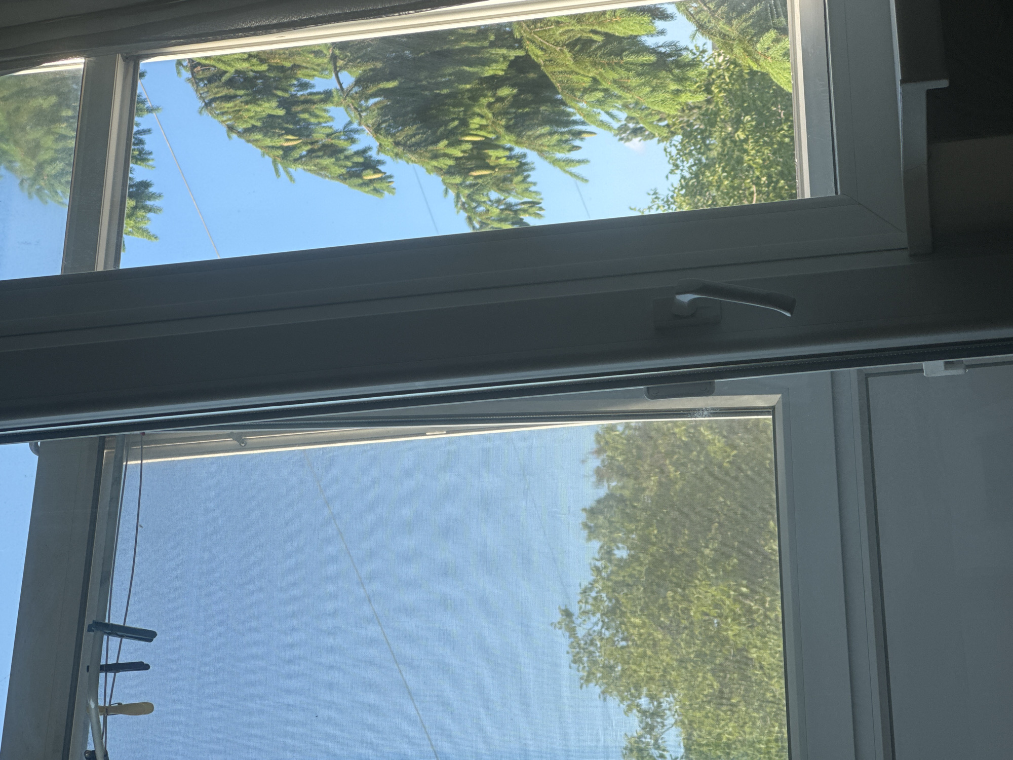 The image displays an interior view looking outwards through a two-section white UPVC window in an unknown, unknown city. The left window section is open inwards, revealing a dark mesh insect screen on its left pane. Three clothespins, one yellow and two dark, are suspended from a thin, reddish-brown horizontal line stretched across the upper part of this screen. Through the screen, dense green deciduous tree foliage is visible against a clear blue sky. The right window section is closed and features a white handle on its right vertical frame. Through this section, a large coniferous tree with prominent green needles and numerous elongated, light green, pendulous structures is visible against a clear blue sky. Additional green foliage from other trees is present below and to the left of the coniferous tree. A thin, dark utility line or wire stretches horizontally across the upper sky visible through both window sections. The scene is brightly illuminated by natural daylight. A dark window sill or lower wall surface is visible at the bottom right, and a dark, sheer curtain is partially visible along the extreme right edge of the image.
