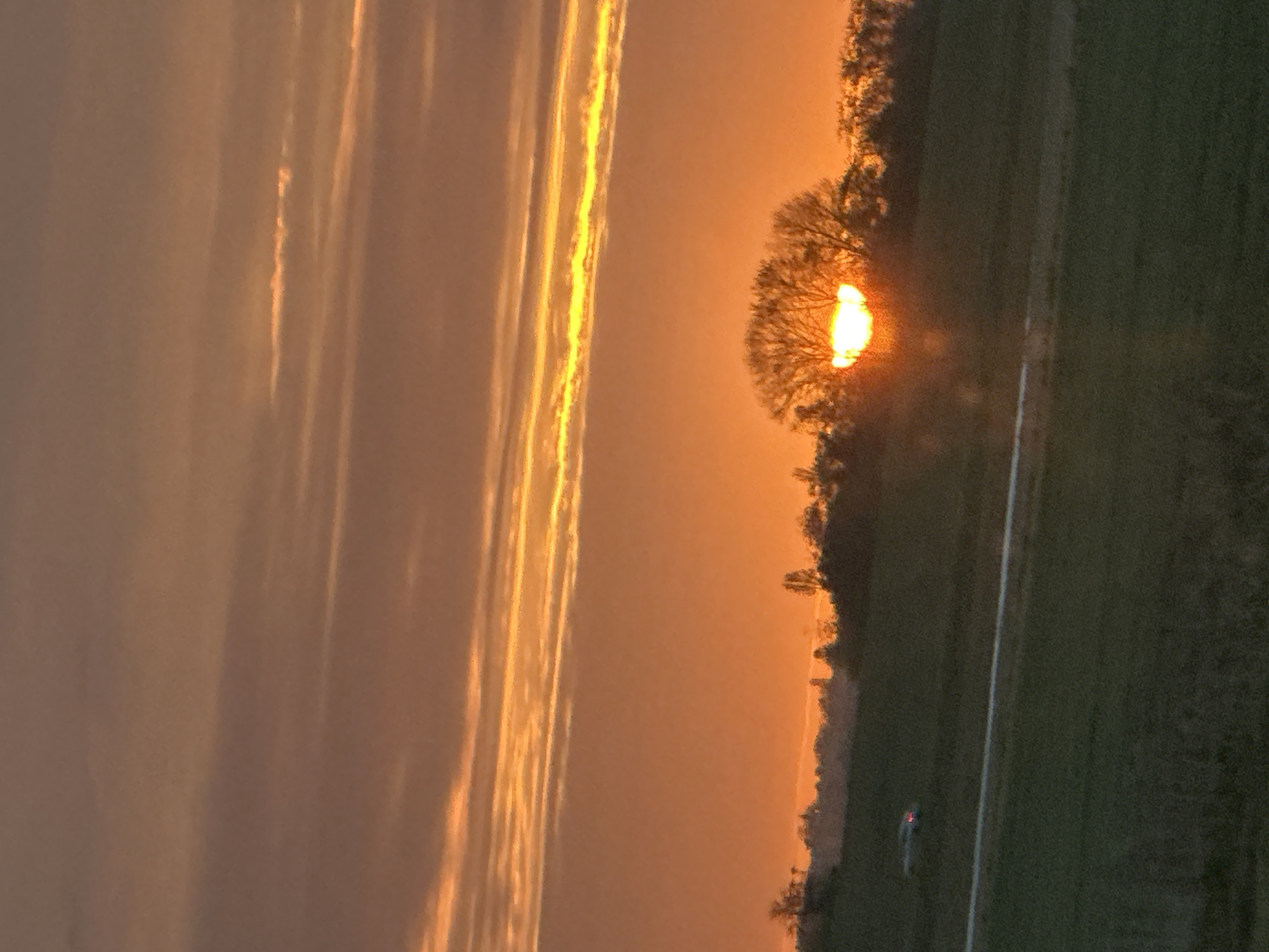 The image depicts a sunset, likely taken near or in Ballainvilliers, France, characterized by orange and yellow hues. The sun is partially obscured by a bare tree, creating a silhouette effect. The sky is marked by striated clouds catching the sunlight. Adjacent to the tree line is a green field with a visible white road. A small red light, possibly from a vehicle, is seen on the field.