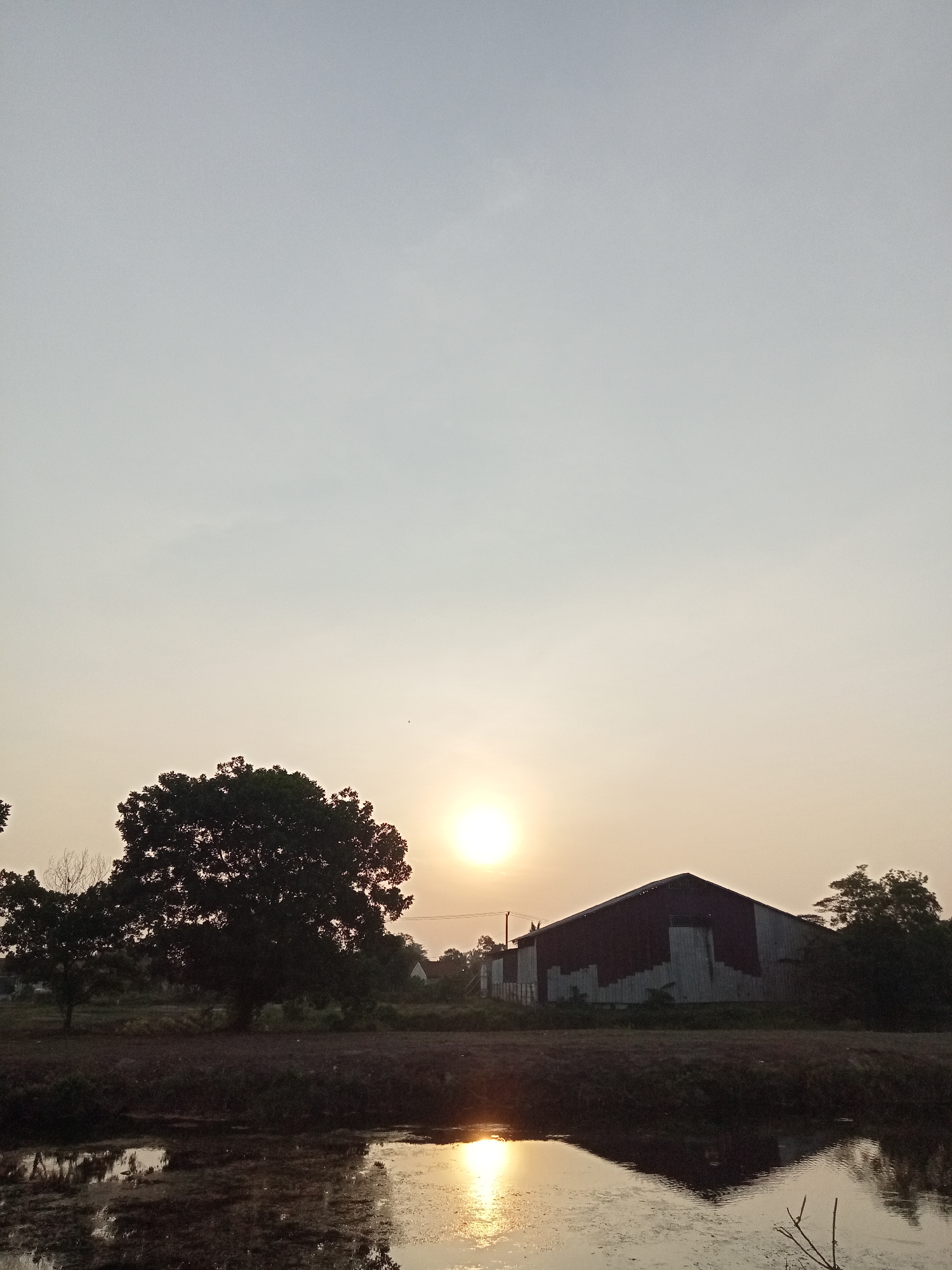 In the city of Teluk Kenidai, Indonesia, a tranquil scene unfolds during the golden hour. The sky is a soft gradient of pale blue and yellow, with the sun a bright orb hanging low on the horizon. A large, dark green tree stands silhouetted against the sky on the left, its branches reaching outward. To the right of the tree, a barn-like structure with a red roof and corrugated metal walls is visible, partially obscured by shadows. In front of the structures, a dark, reflective body of water mirrors the sky and the surrounding landscape, with hints of vegetation along its edge. The overall impression is one of quietude and natural beauty.