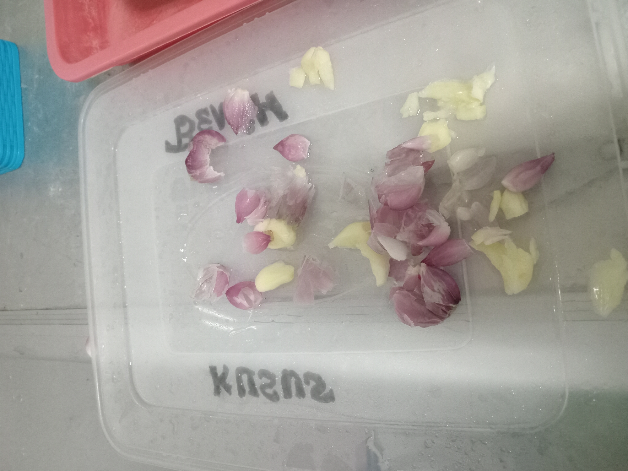 A clear plastic container holds several pieces of chopped onion and garlic. The container is wet, with water droplets visible on its surface. Two words are written in black marker on the side of the container, "PENCU" and "2020X". The container is on a light gray surface. In the background, a pink plastic container is partially visible to the right, and a blue plastic container is partially visible at the top. The image appears to have been taken in a kitchen or food preparation area.